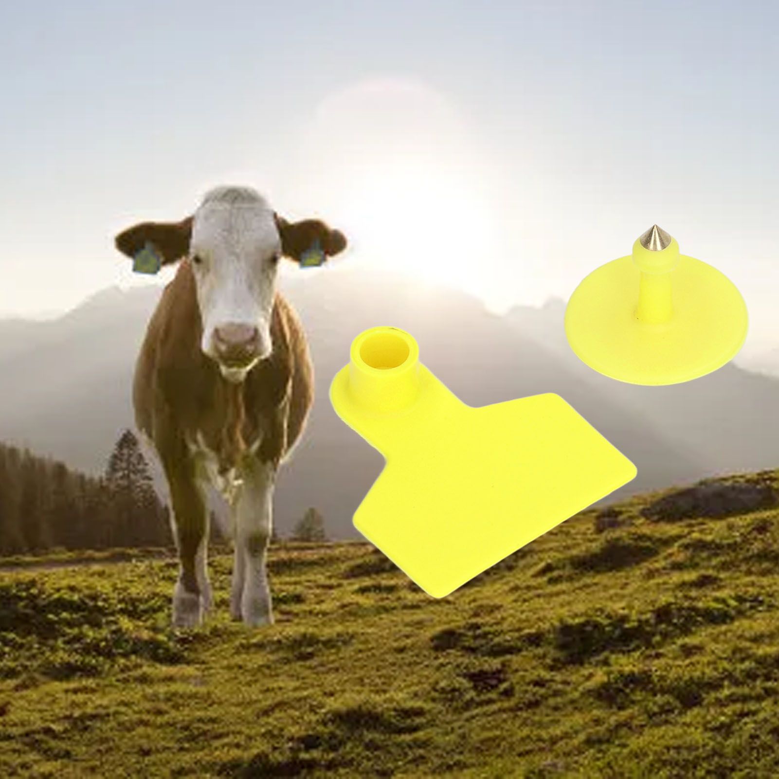 100 Sets Livestock Ear Tags Yellow Strong Plastic Easy to Use Blank Cattle Ear view 12