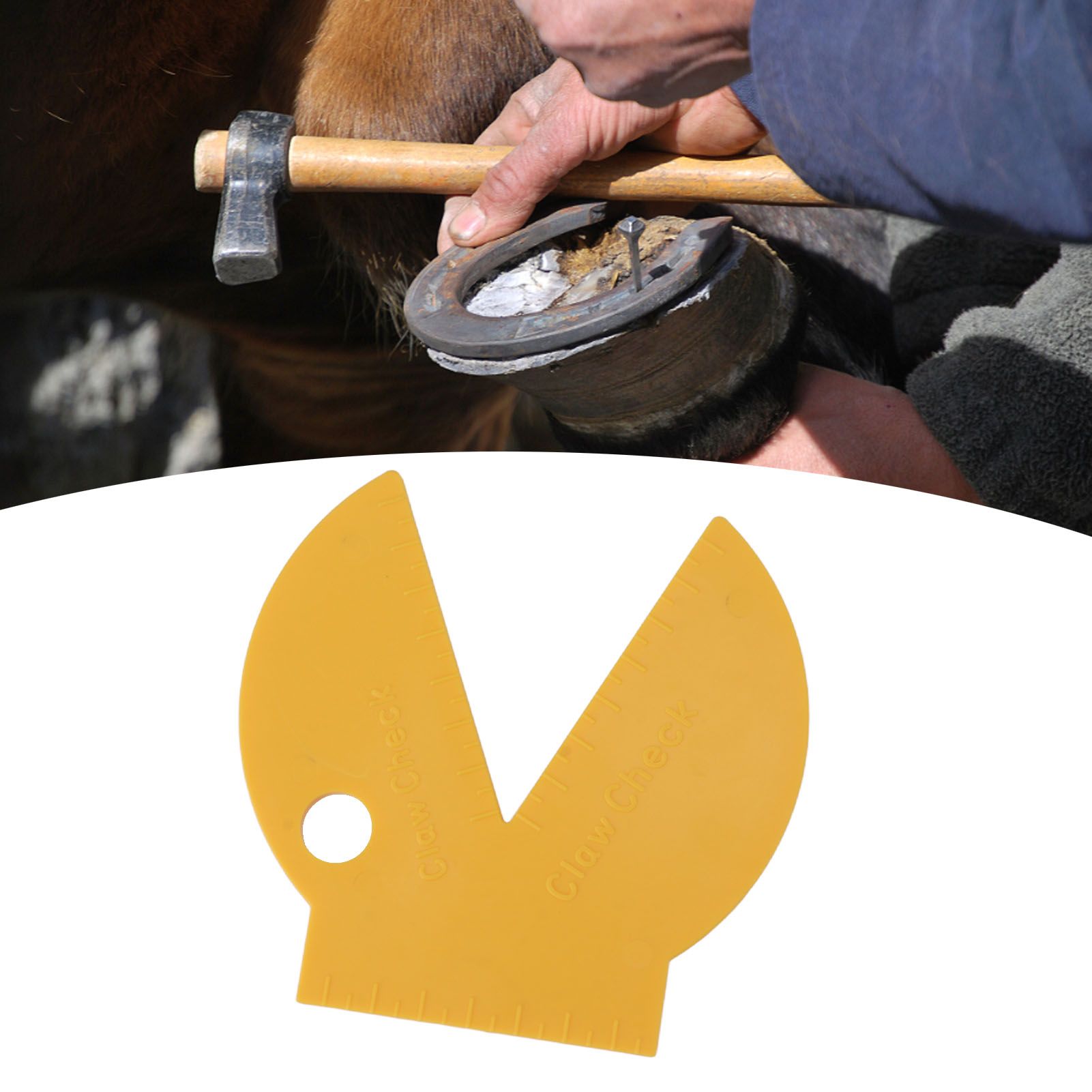 Hoof Claw Check Gauge Engineering Plastic Measurement Diagnosis Cattle Cow view 12