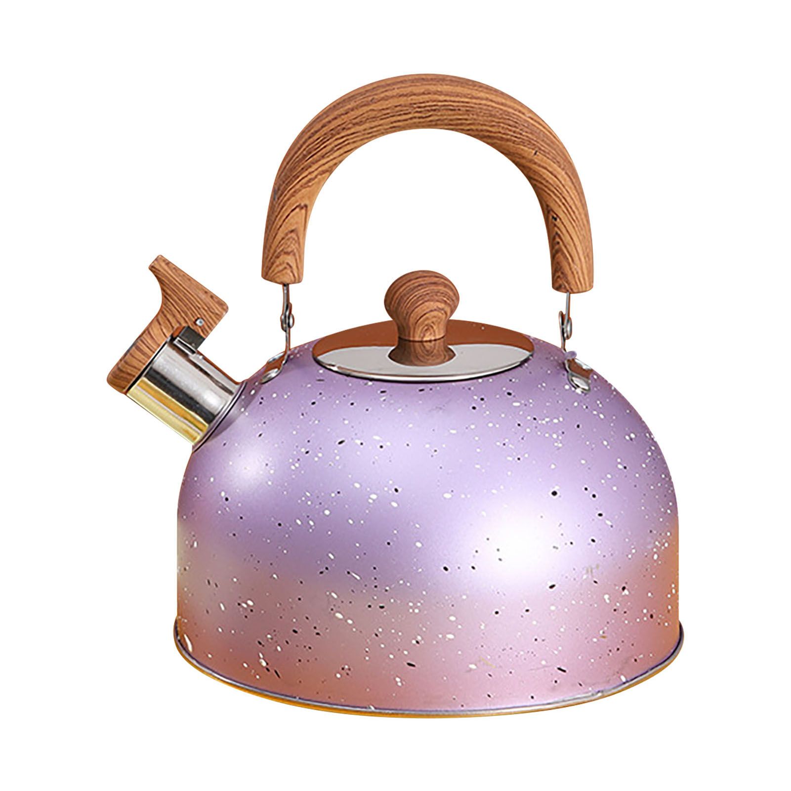 Water Kettle Stainless Steel Whistle Water Kettle Large Capacity Flat Bottomed
