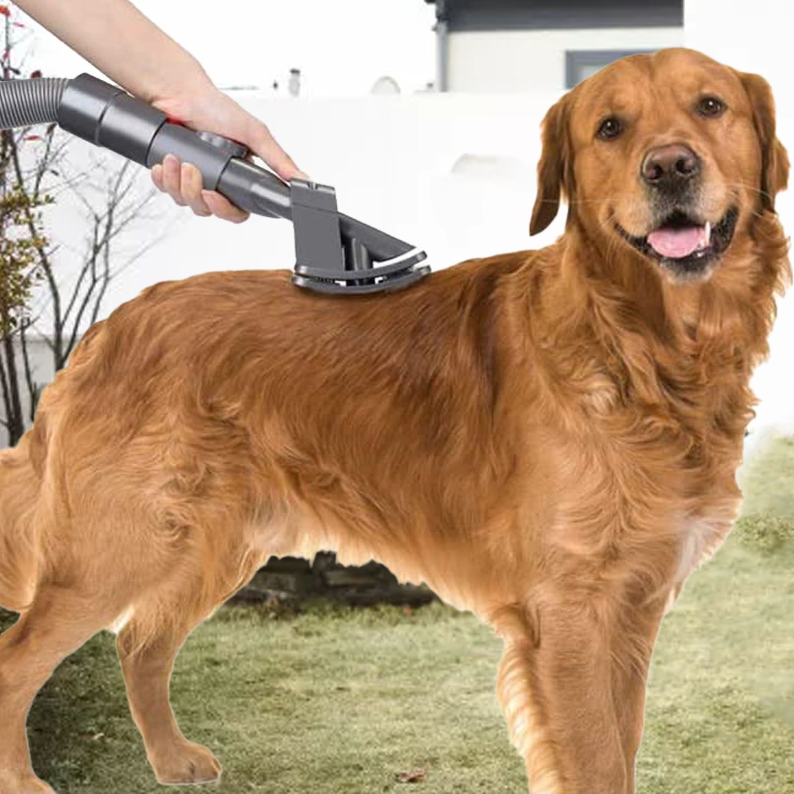 Vacuum Pet Brush for V6 V7 V8 V10 V11 V15 Efficient Vacuum Cleaner Pet view 11