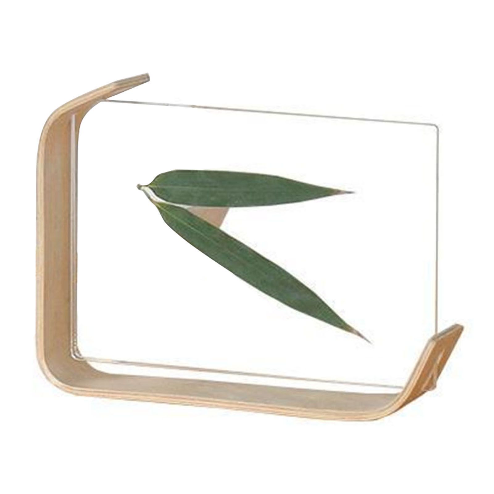 Desktop Plant Specimen Frame Wooden Acrylic Simple Modern Photo Frame Desktop view 2
