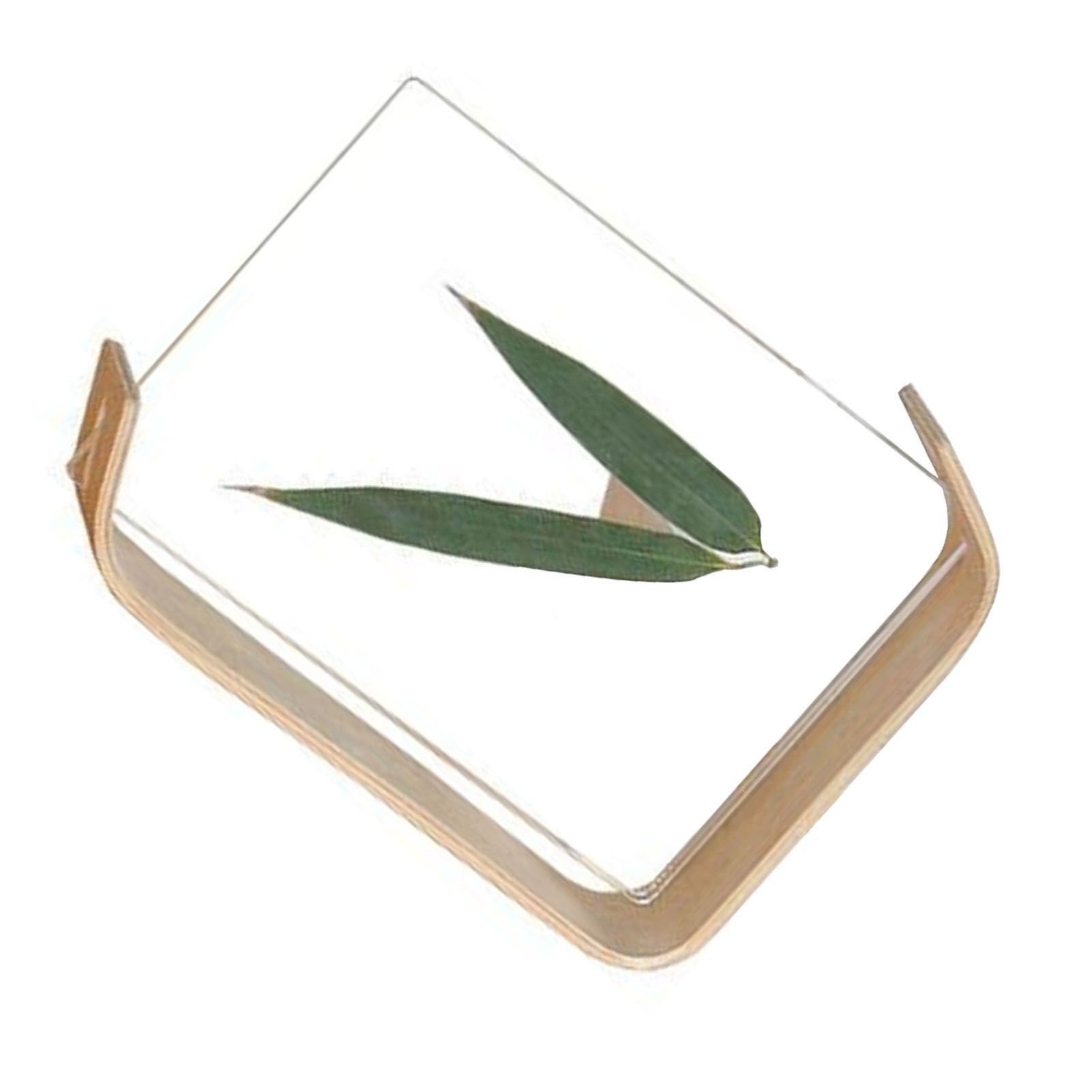 Desktop Plant Specimen Frame Wooden Acrylic Simple Modern Photo Frame Desktop view 3