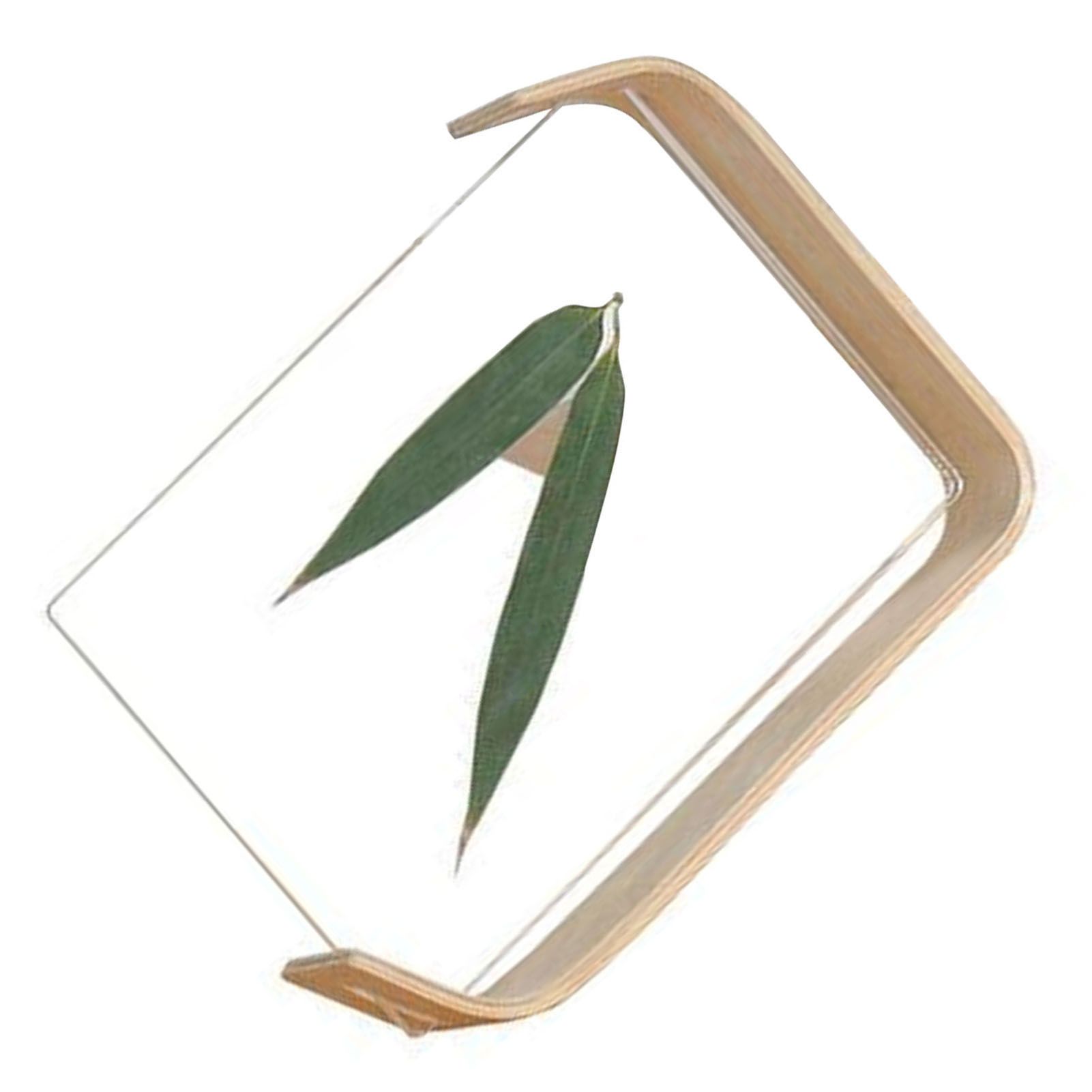 Desktop Plant Specimen Frame Wooden Acrylic Simple Modern Photo Frame Desktop view 4