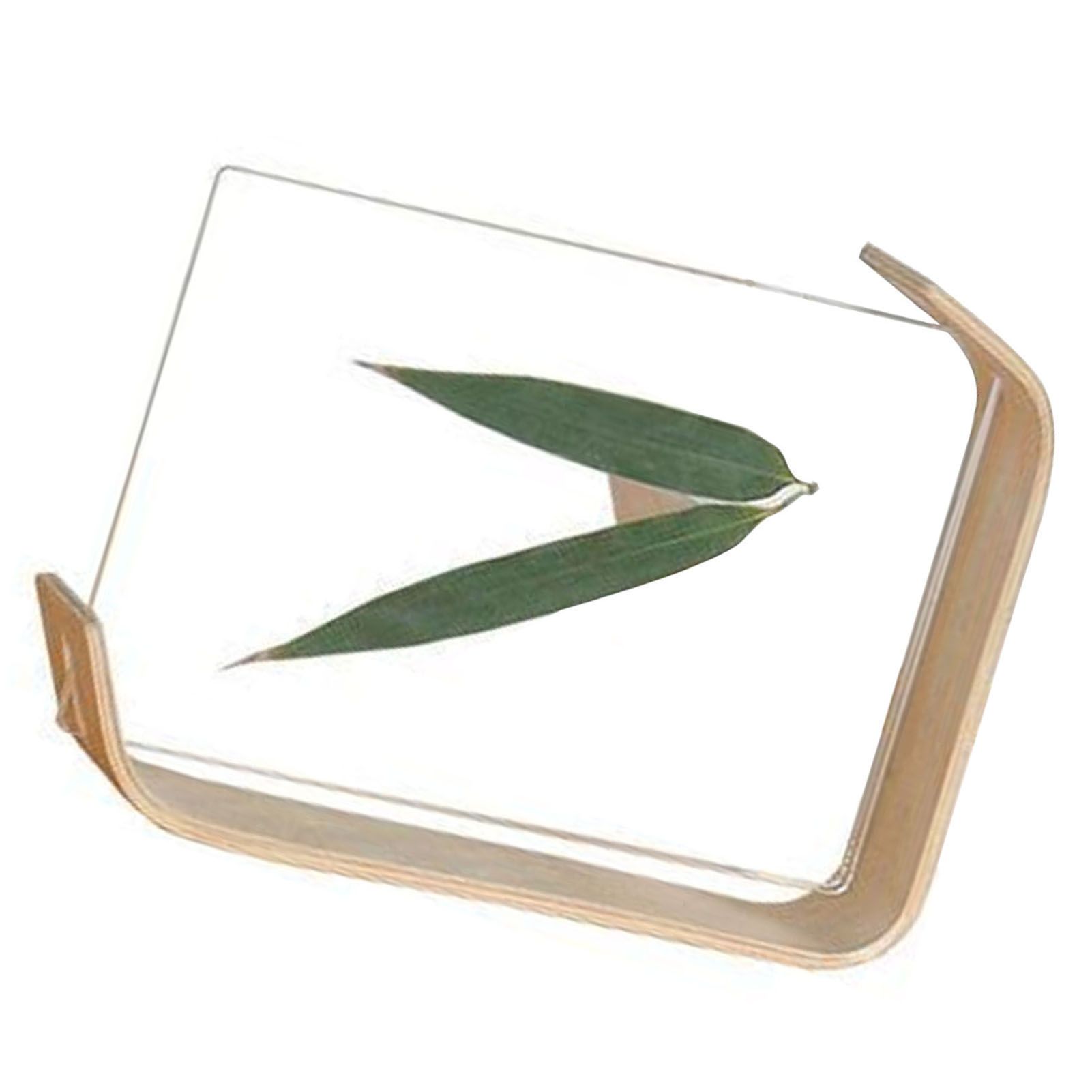 Desktop Plant Specimen Frame Wooden Acrylic Simple Modern Photo Frame Desktop view 5