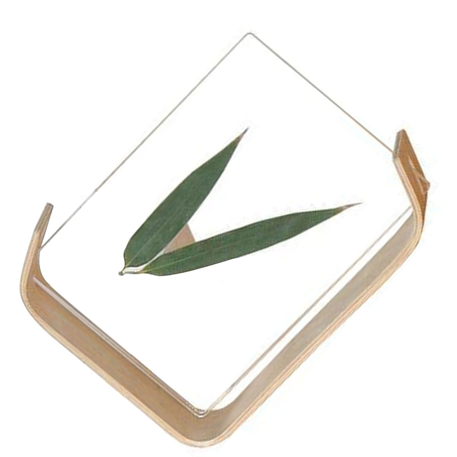 Desktop Plant Specimen Frame Wooden Acrylic Simple Modern Photo Frame Desktop view 6