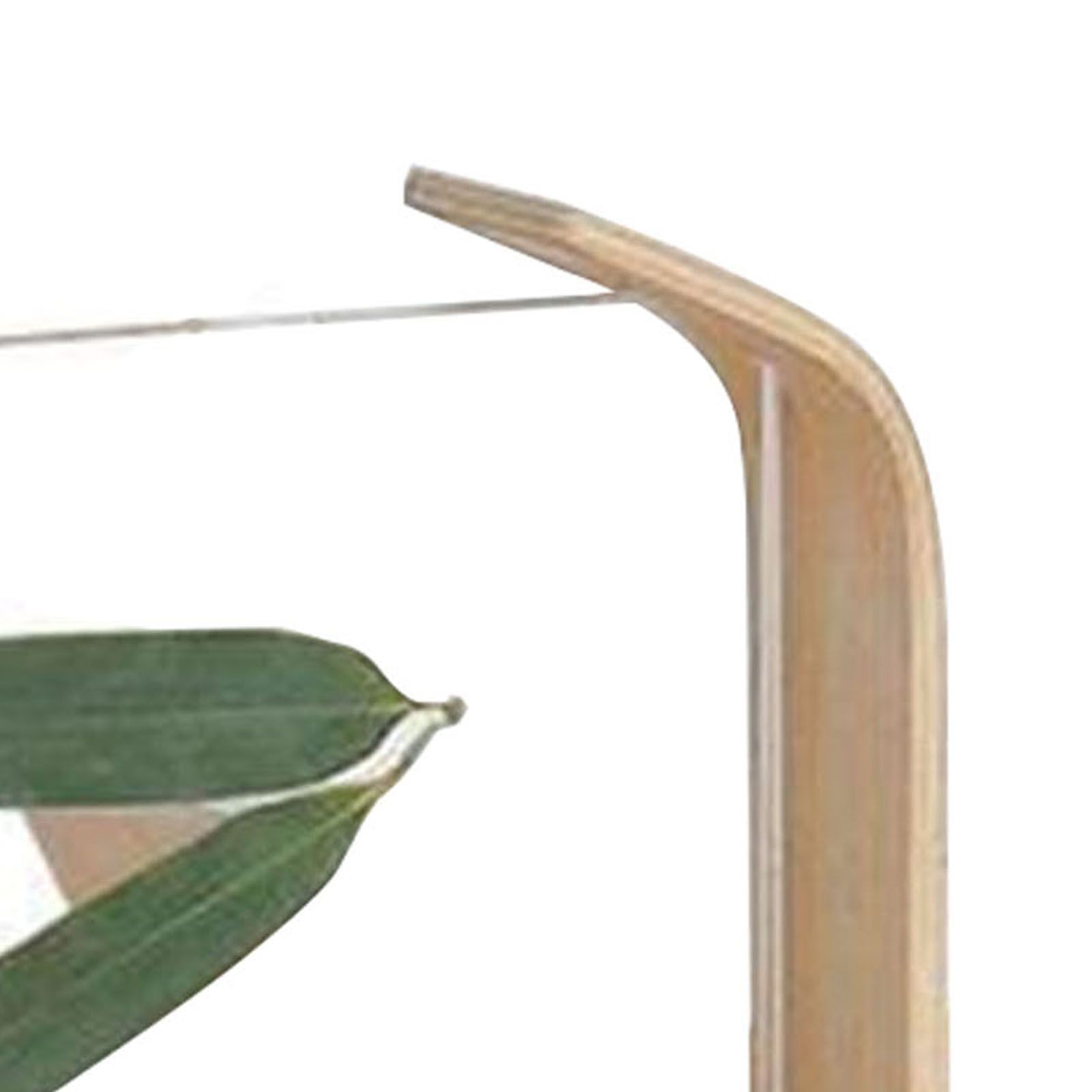Desktop Plant Specimen Frame Wooden Acrylic Simple Modern Photo Frame Desktop view 8