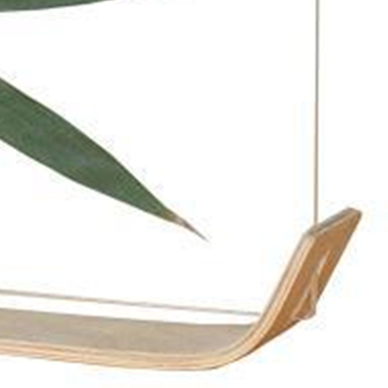 Desktop Plant Specimen Frame Wooden Acrylic Simple Modern Photo Frame Desktop view 9