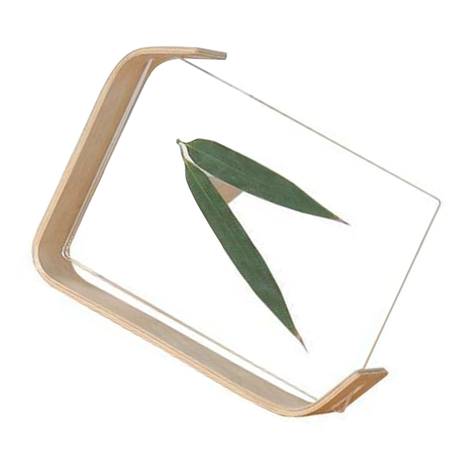 Desktop Plant Specimen Frame Wooden Acrylic Simple Modern Photo Frame Desktop view 10