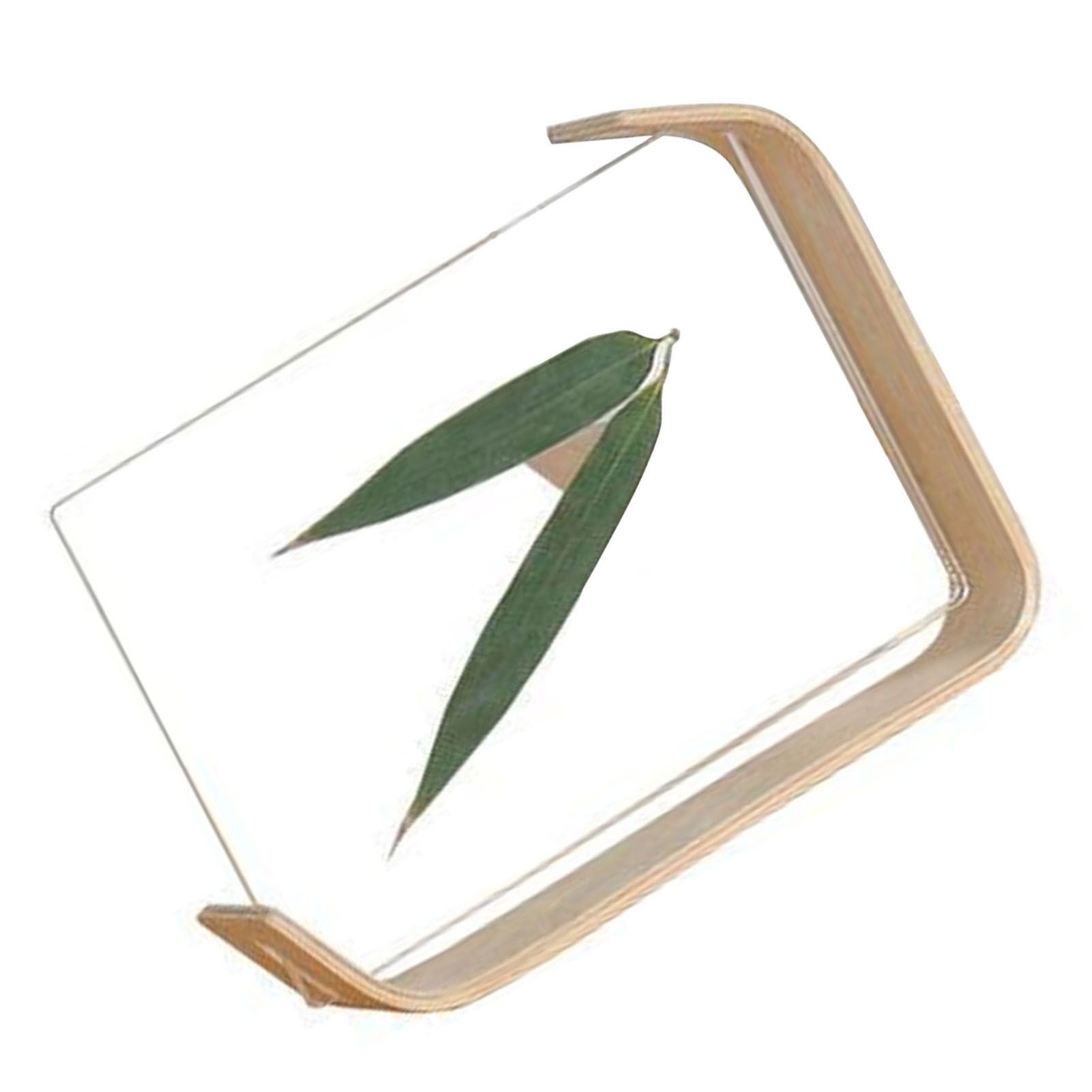 Desktop Plant Specimen Frame Wooden Acrylic Simple Modern Photo Frame Desktop view 11
