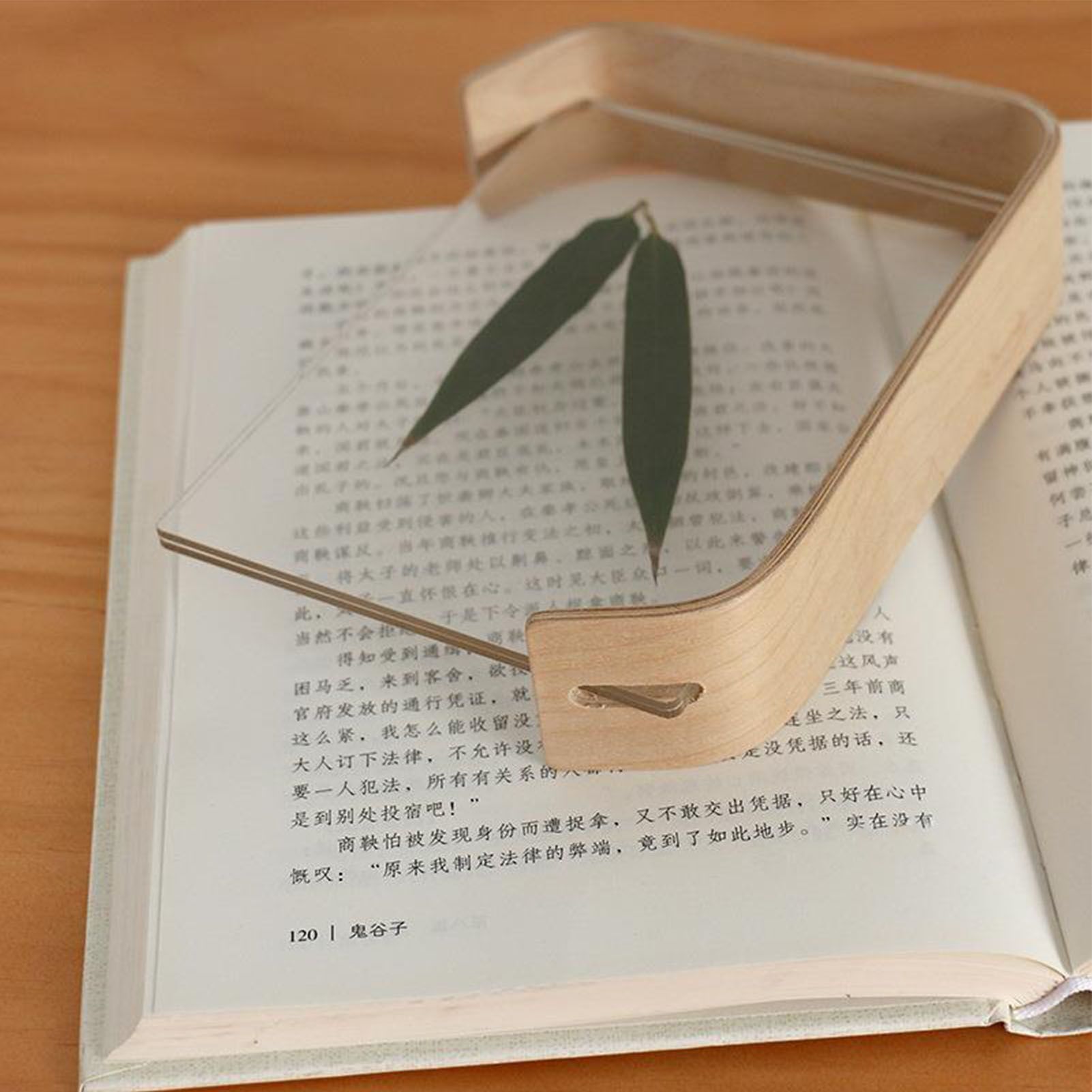 Desktop Plant Specimen Frame Wooden Acrylic Simple Modern Photo Frame Desktop view 12