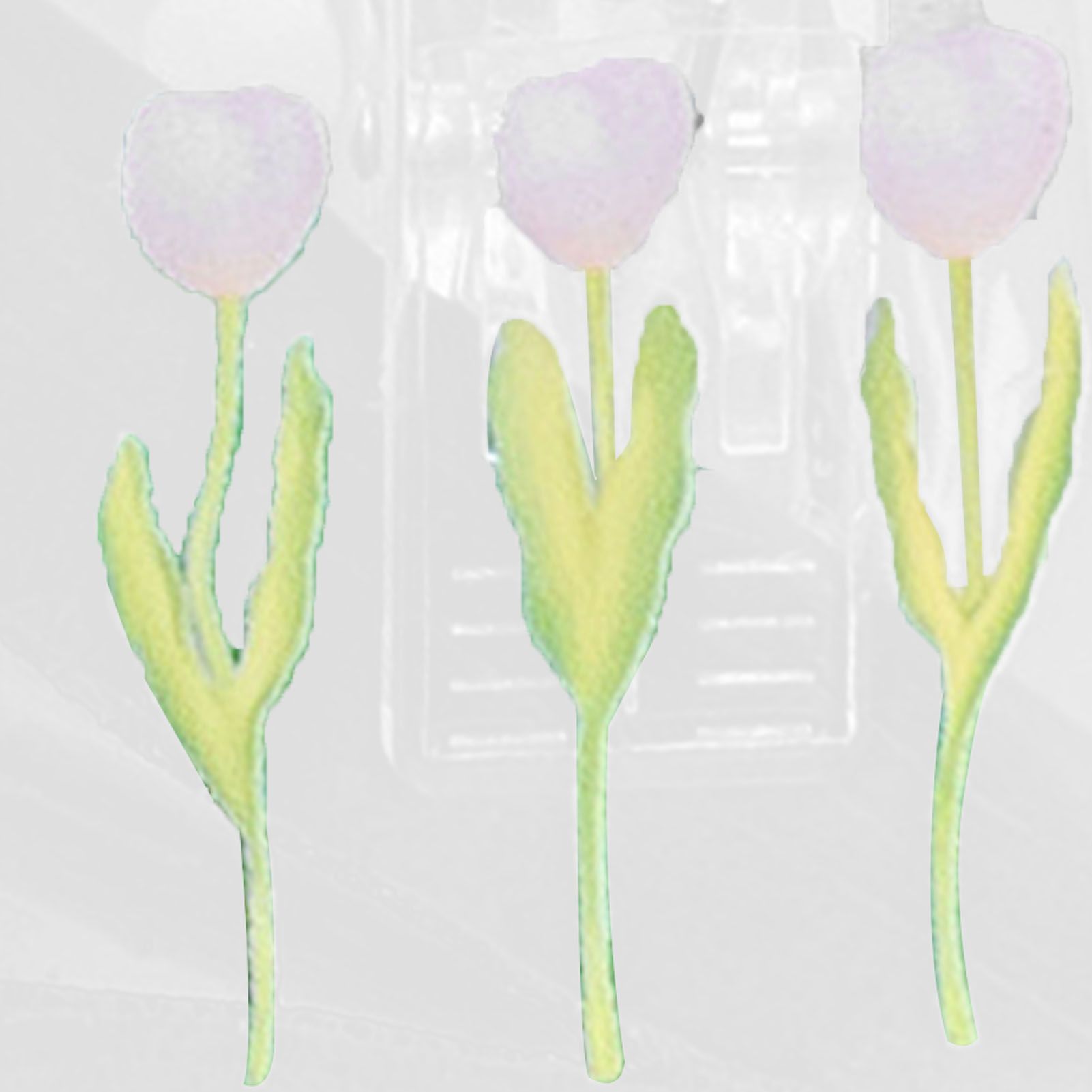 Double Sided Photo Clip Acrylic Tulip Pattern Multifunctional Transparent view 11