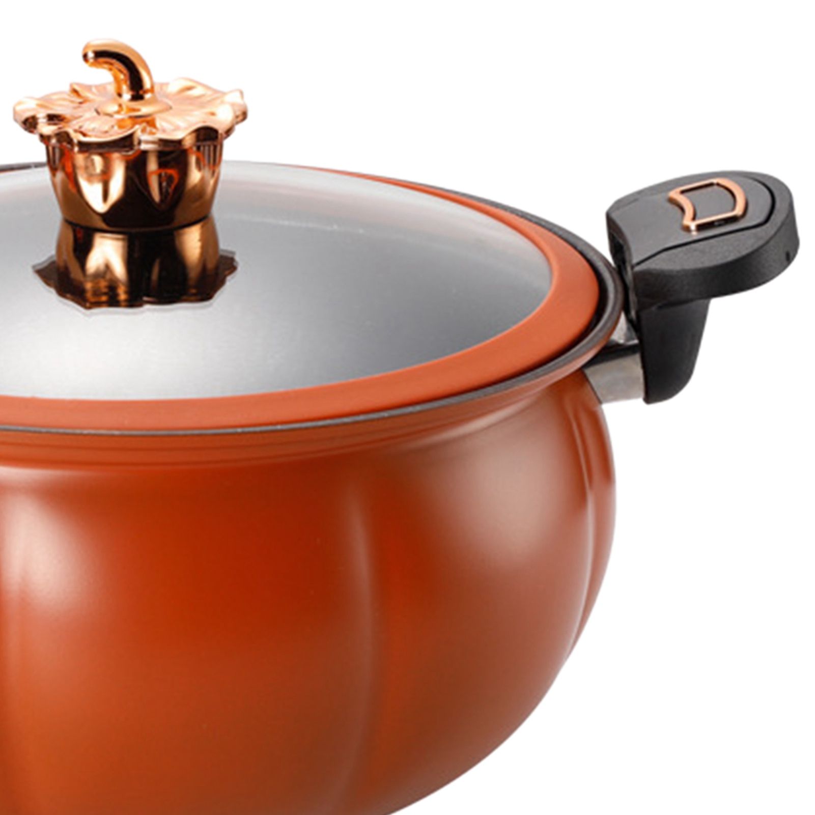 Micro Pressure Cooker Pumpkin Non Stick Multifunctional Soup Pot Gas Stove view 7