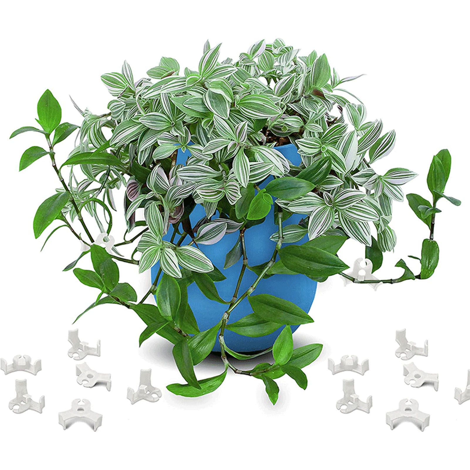 20Pcs Plant Bender Plastic Low Stress 90 Degree Angle Adjustable Plant view 12