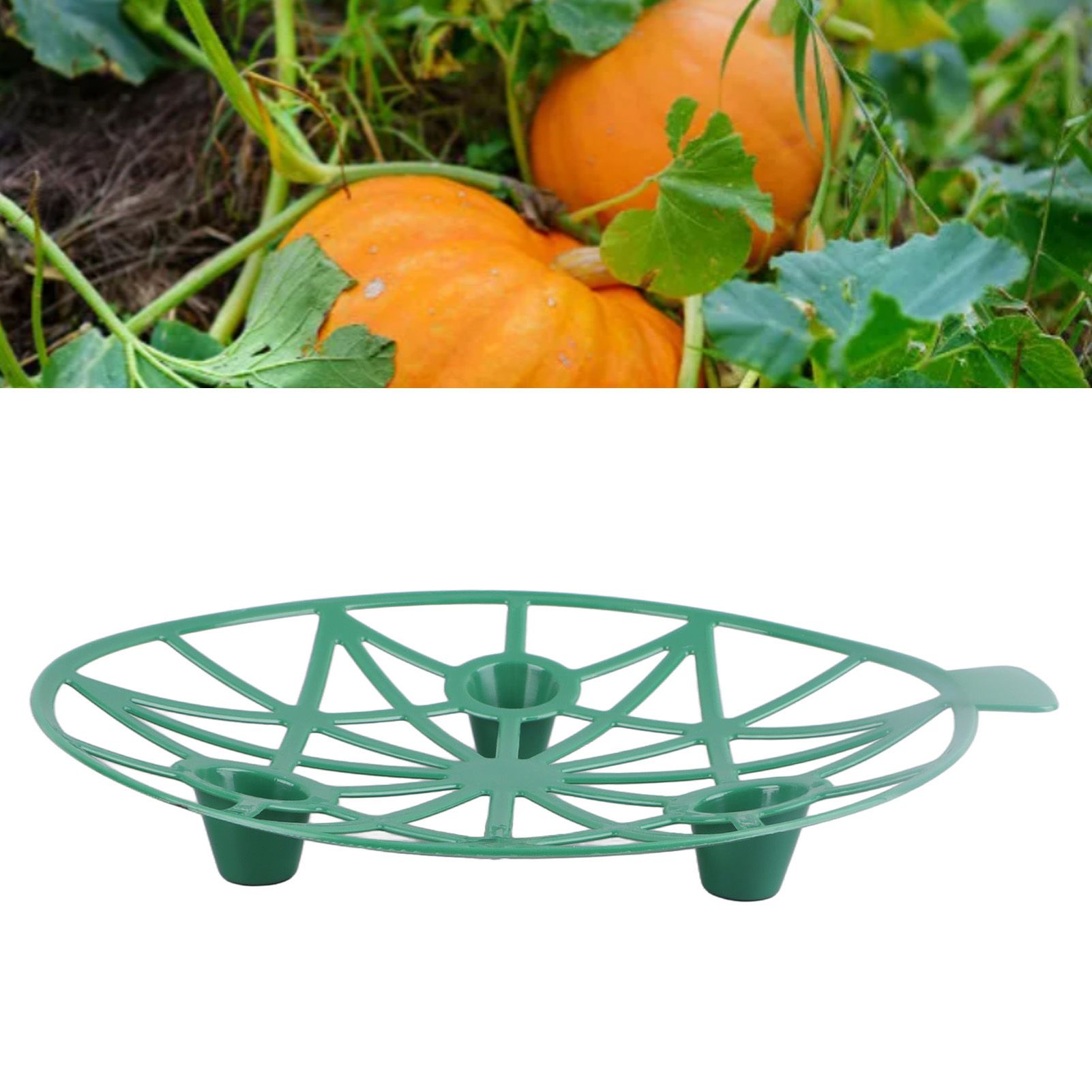 10Pcs Watermelon Stand Melon Cradle Strawberry Pumpkin Support Holder for view 11