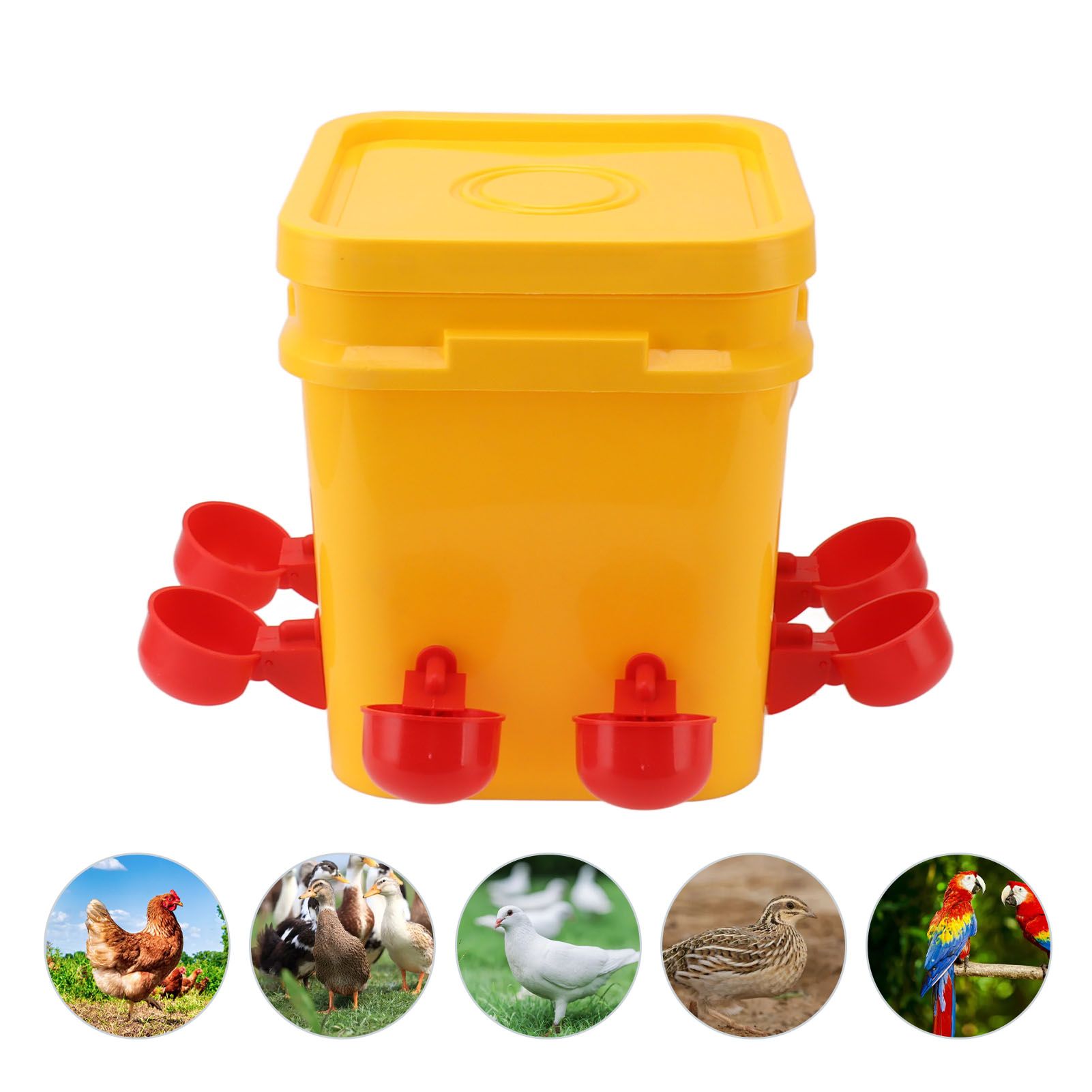 Automatic Chicken Waterer Cup with 12L Handheld Barrel Poultry Drinking view 12