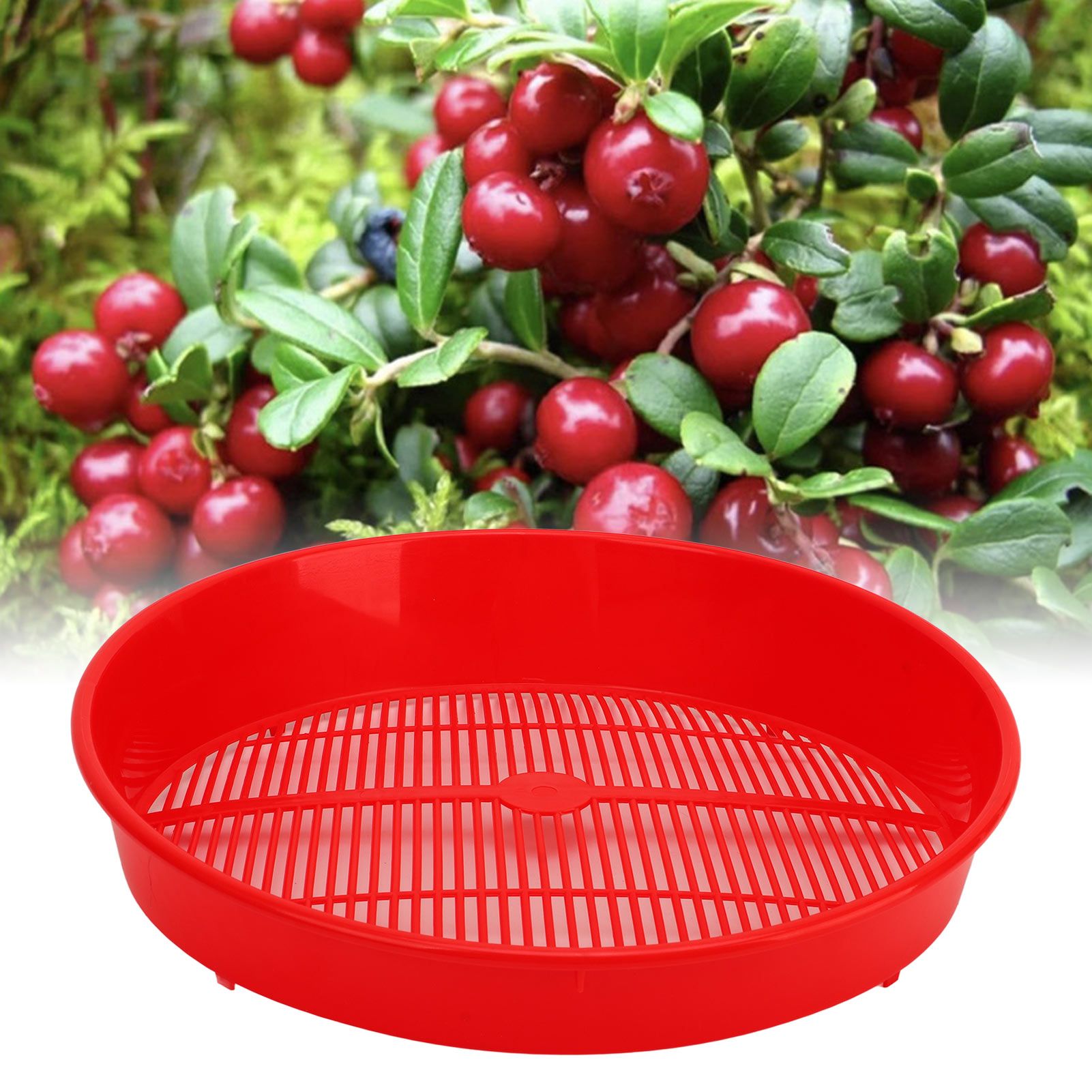 Plastic Blueberry Sieve Washing Sieve Fruit and Vegetable Washing Basket Drain view 12