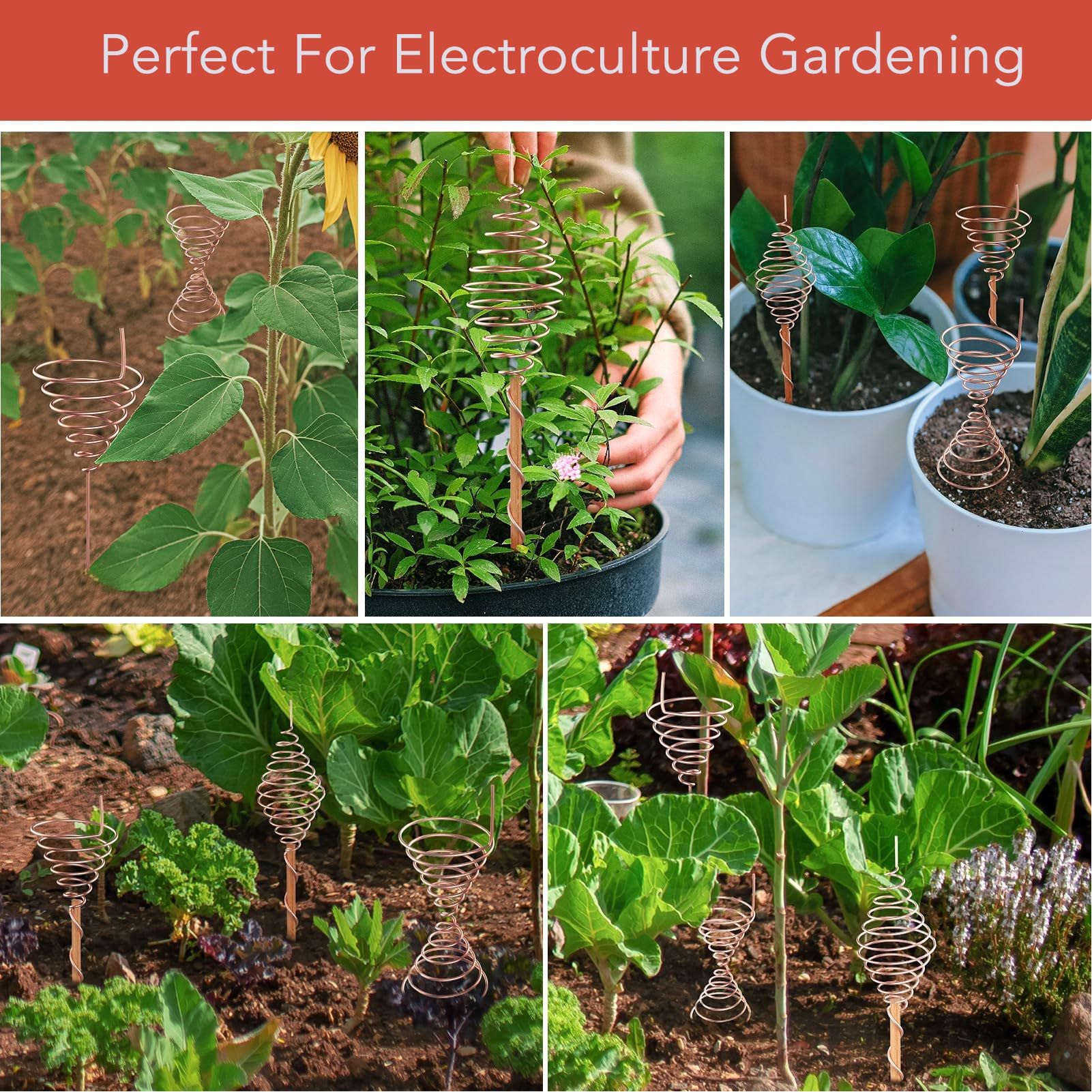 Electro Culture Gardening Copper Wire Stakes Fibonacci Coil Winding Jig for view 14