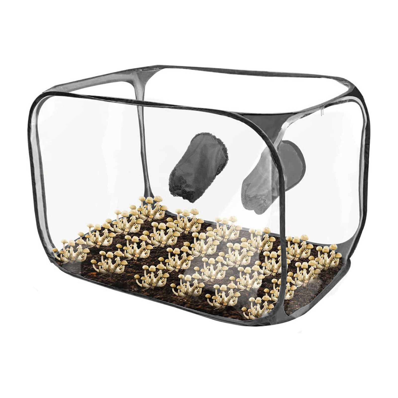 Mushroom Growing Still Air Box Portable Foldable Pop Up PVC Mushroom Container Set view 11