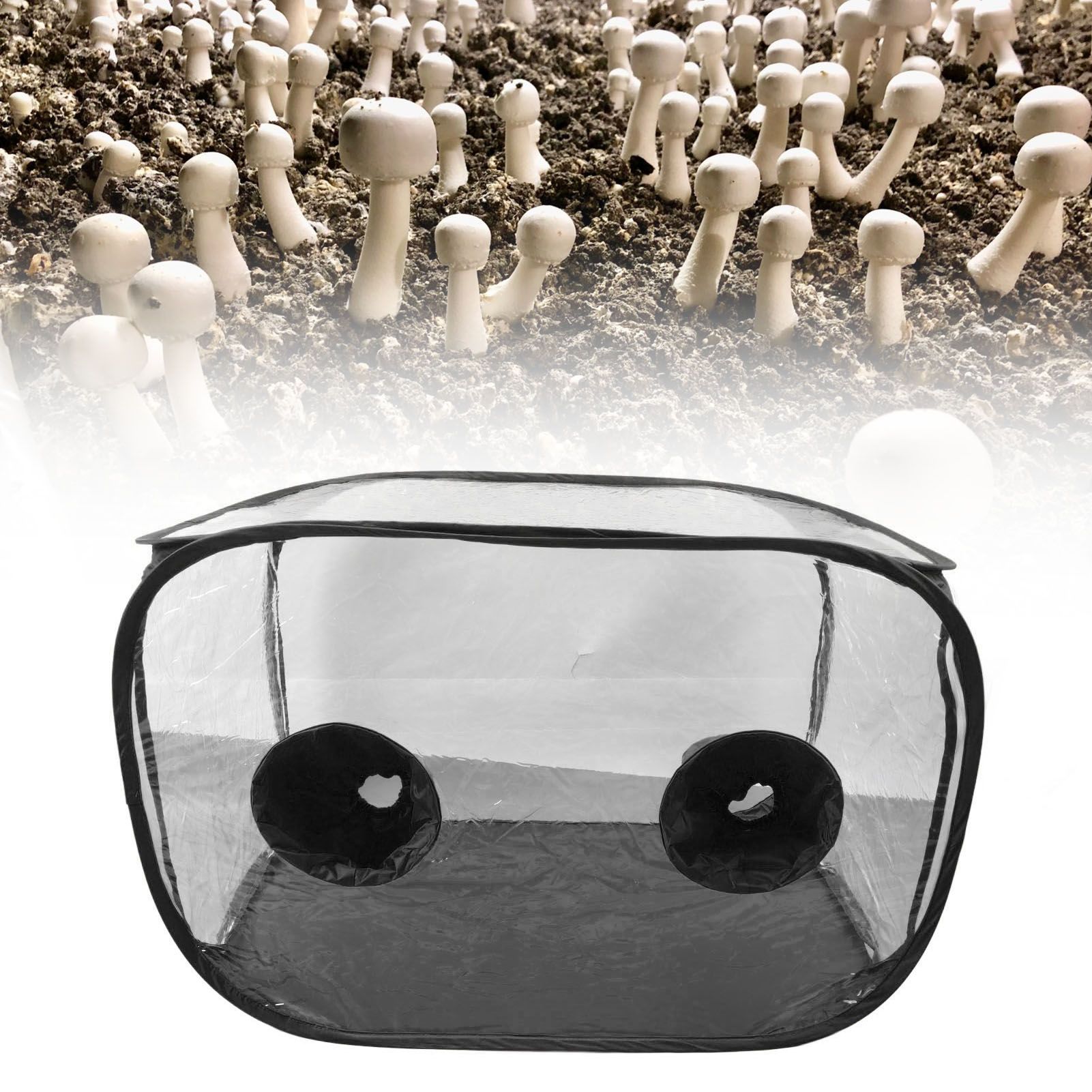 Mushroom Growing Still Air Box Portable Foldable Pop Up PVC Mushroom Container Set view 12