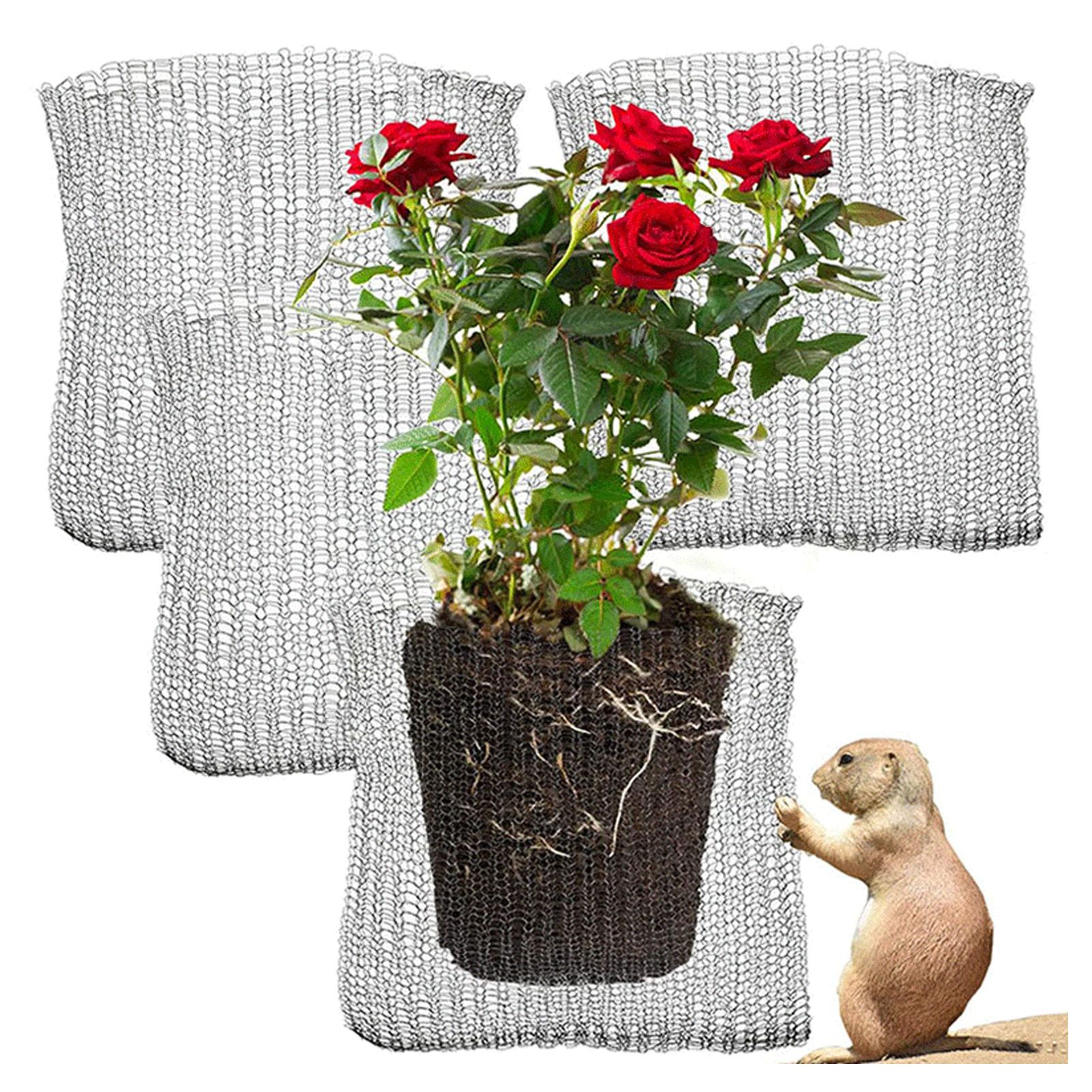 Plant Root Guard Gopher Proof Wire Basket Mole Vole Mesh Wire Basket view 9