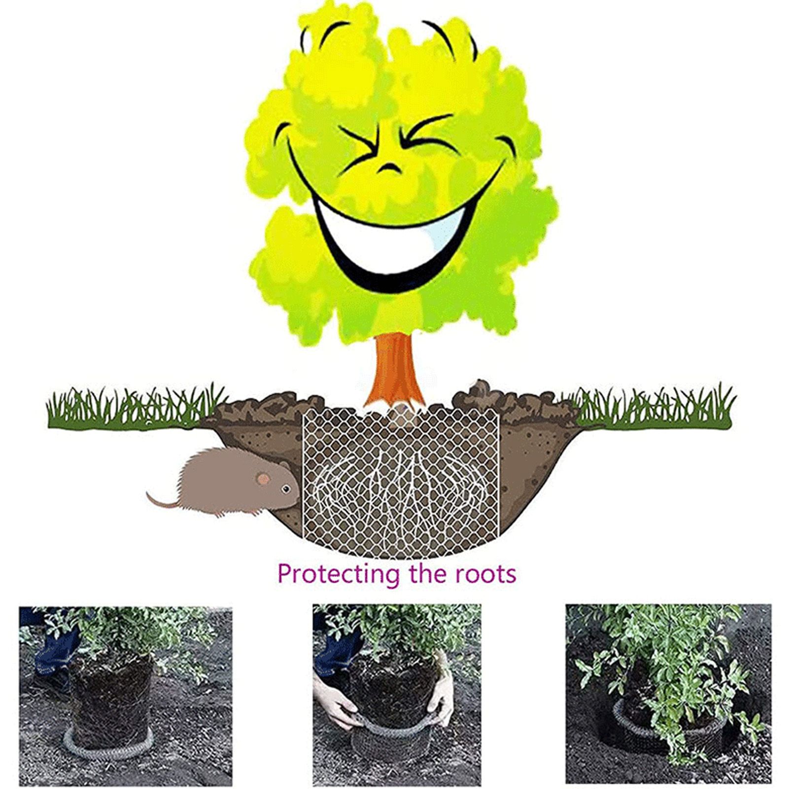 Plant Root Guard Gopher Proof Wire Basket Mole Vole Mesh Wire Basket view 14