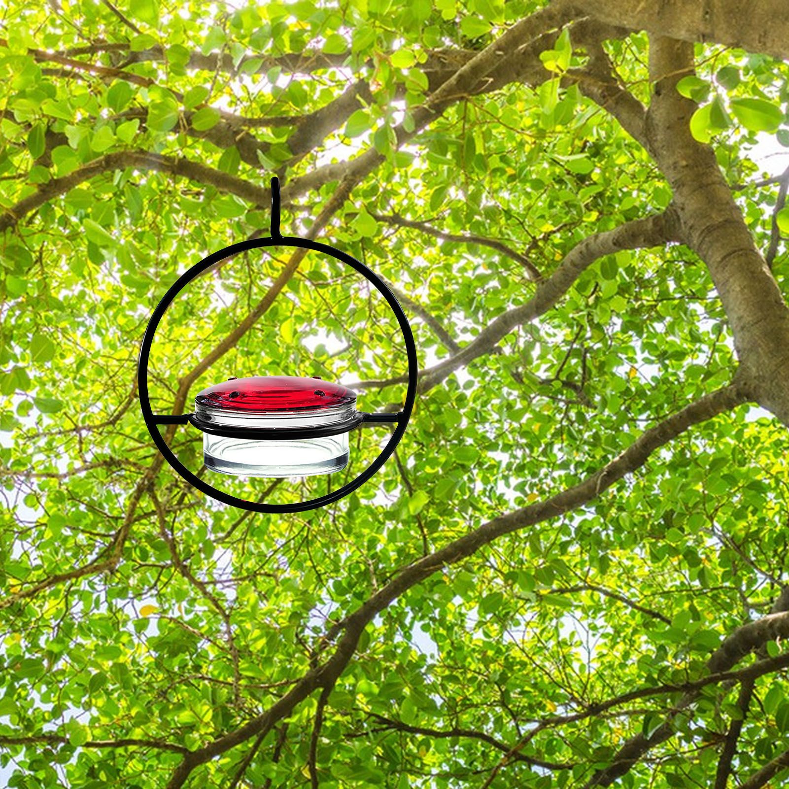 Beautiful Circular Hanging Hummingbird Feeder Outdoor Hanging Humming Bird view 5