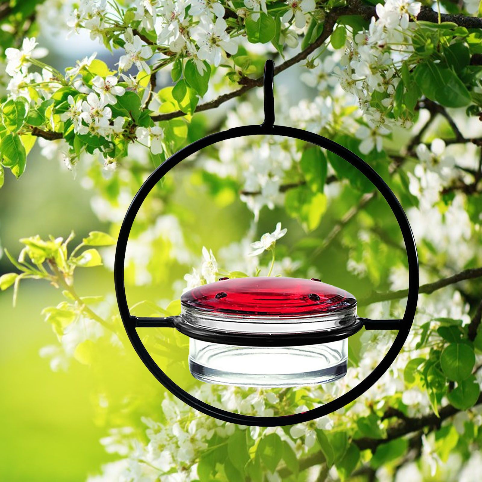 Beautiful Circular Hanging Hummingbird Feeder Outdoor Hanging Humming Bird view 6