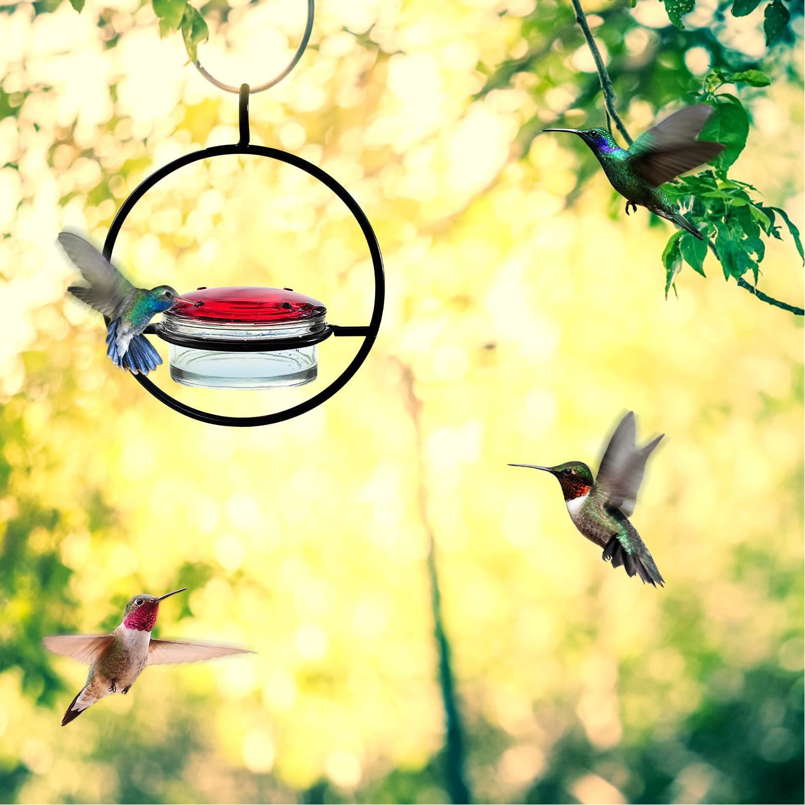 Beautiful Circular Hanging Hummingbird Feeder Outdoor Hanging Humming Bird view 11