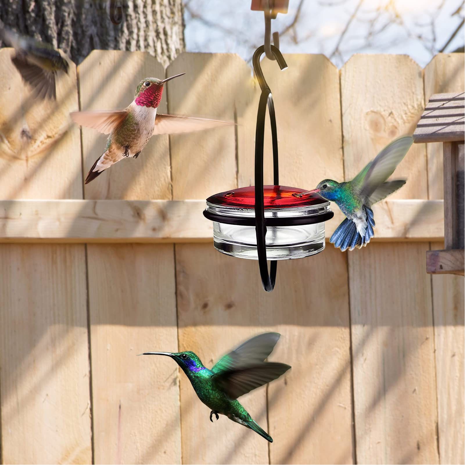Beautiful Circular Hanging Hummingbird Feeder Outdoor Hanging Humming Bird view 13
