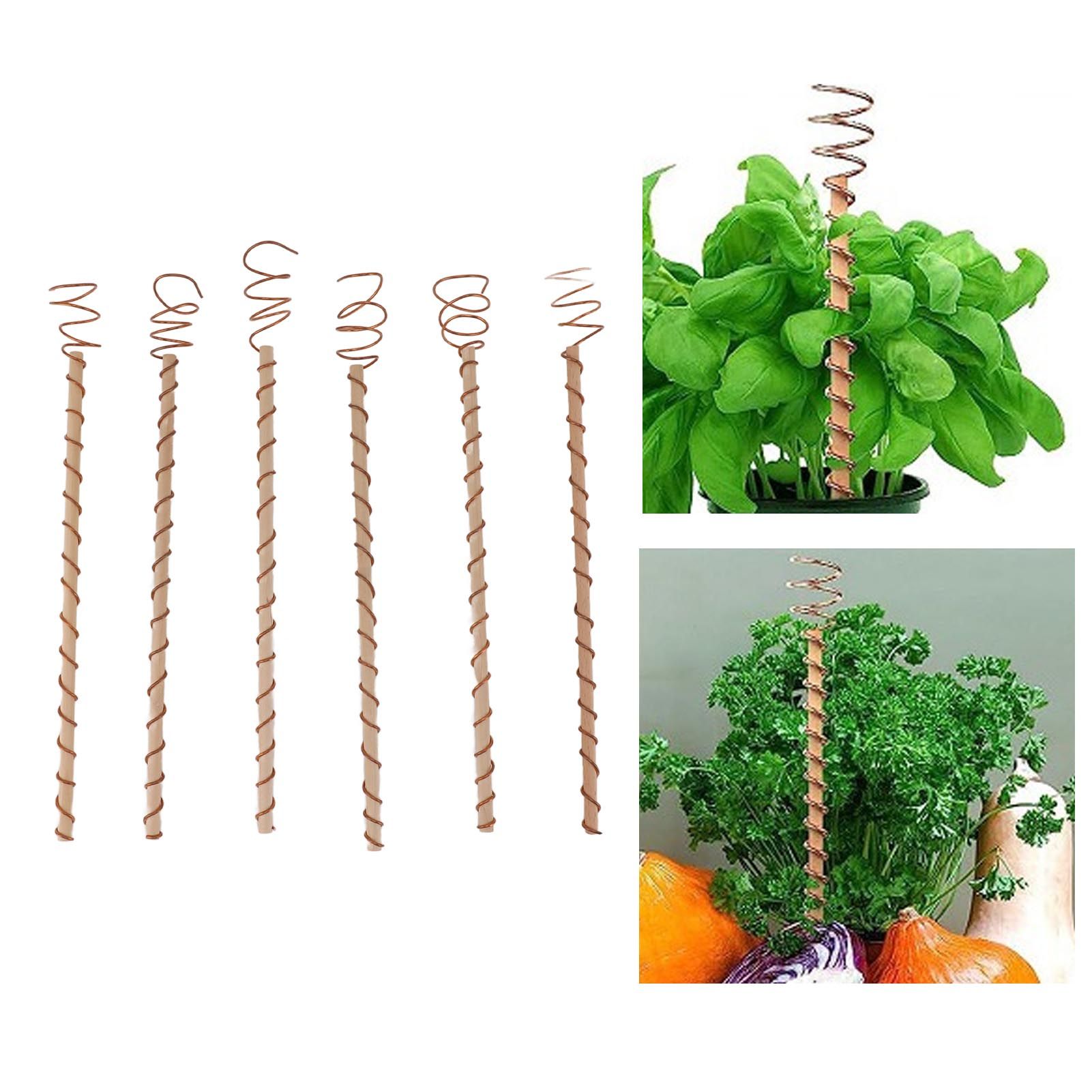 6PCS Electroculture Stakes Stable Support Garden Antenna Copper Coil for view 12