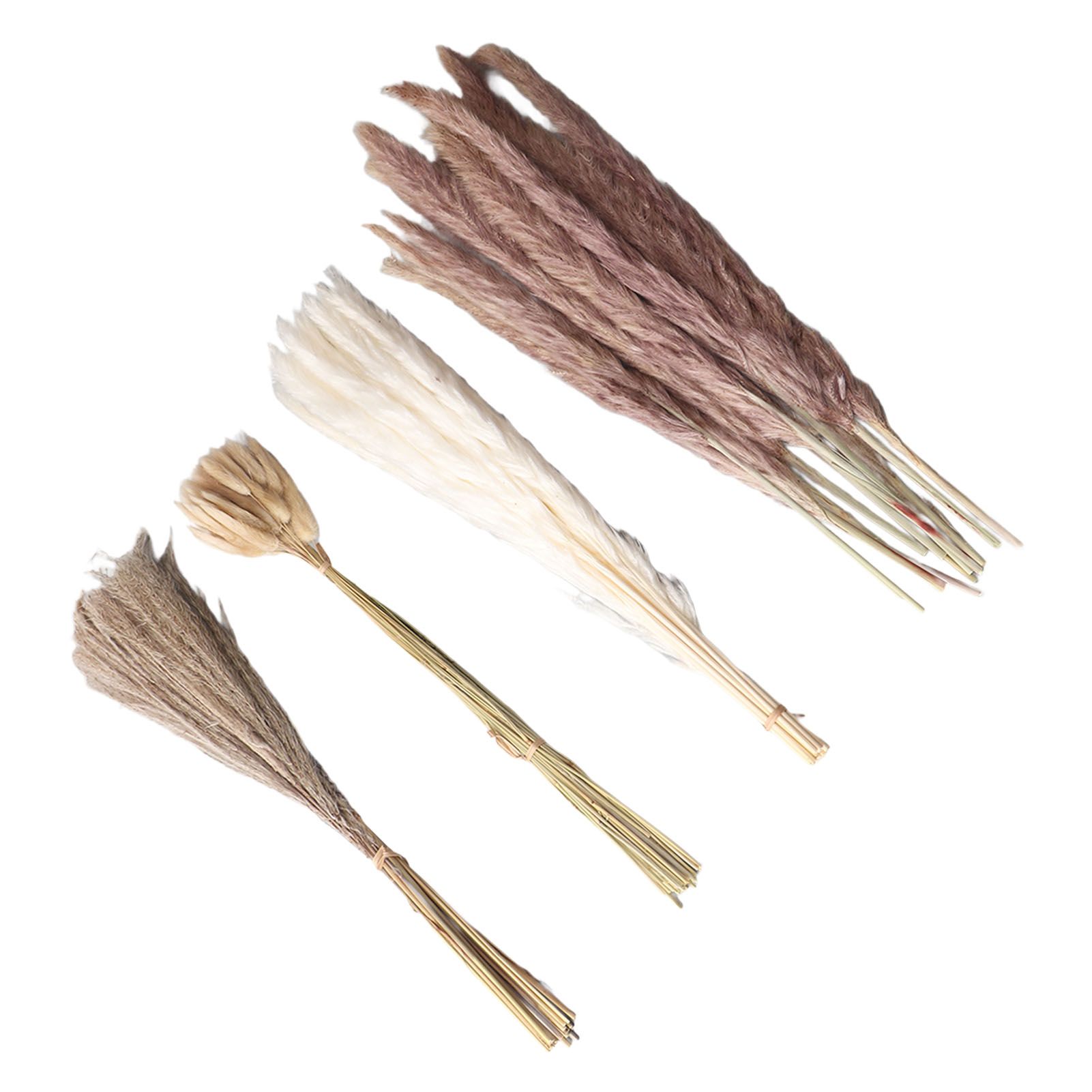 Natural Dried Pampas Grass Fluffy 15PCS White Pampas 15PCS Brown Pampas 50PCS view 2