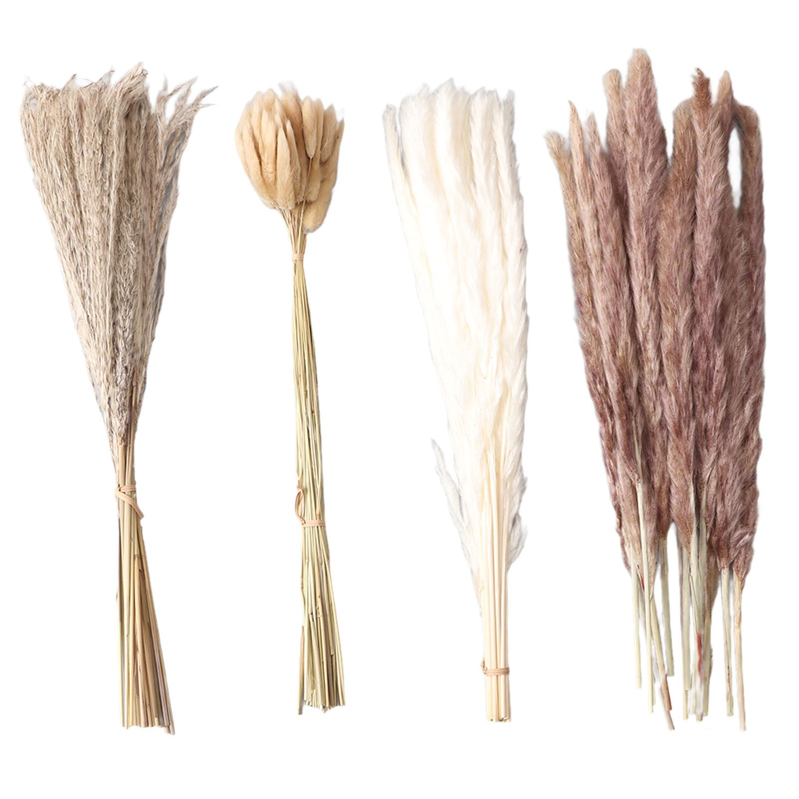 Natural Dried Pampas Grass Fluffy 15PCS White Pampas 15PCS Brown Pampas 50PCS view 3