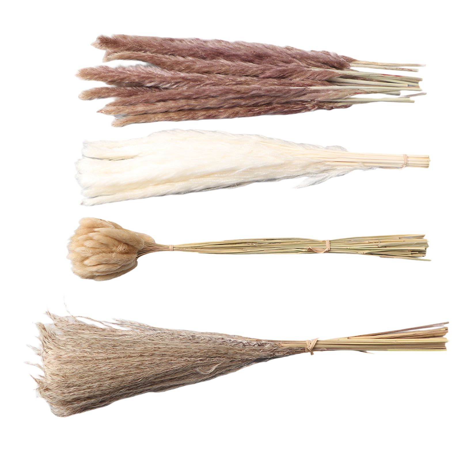 Natural Dried Pampas Grass Fluffy 15PCS White Pampas 15PCS Brown Pampas 50PCS view 5