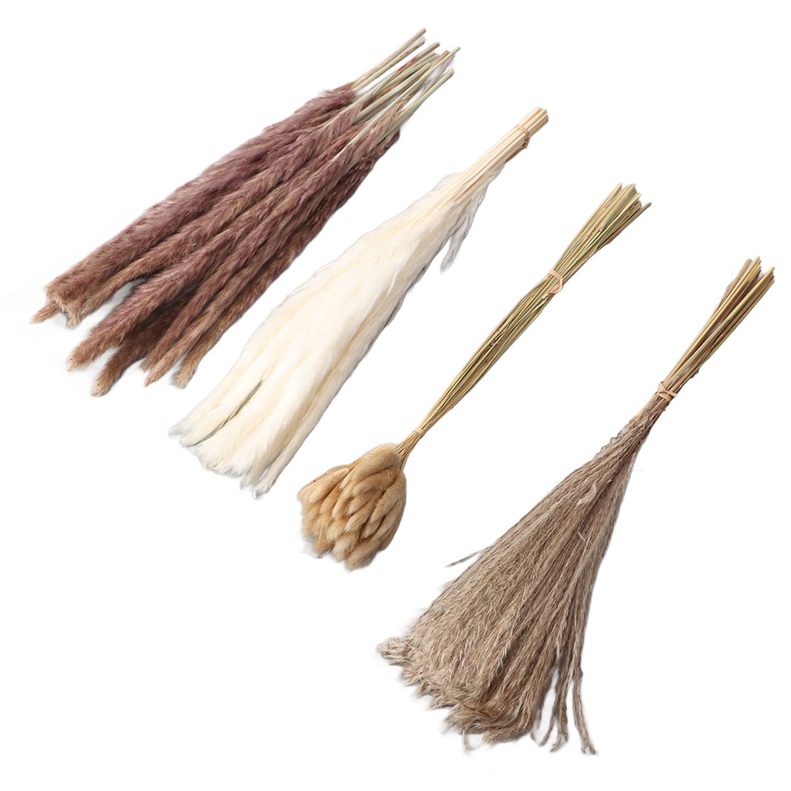 Natural Dried Pampas Grass Fluffy 15PCS White Pampas 15PCS Brown Pampas 50PCS view 6