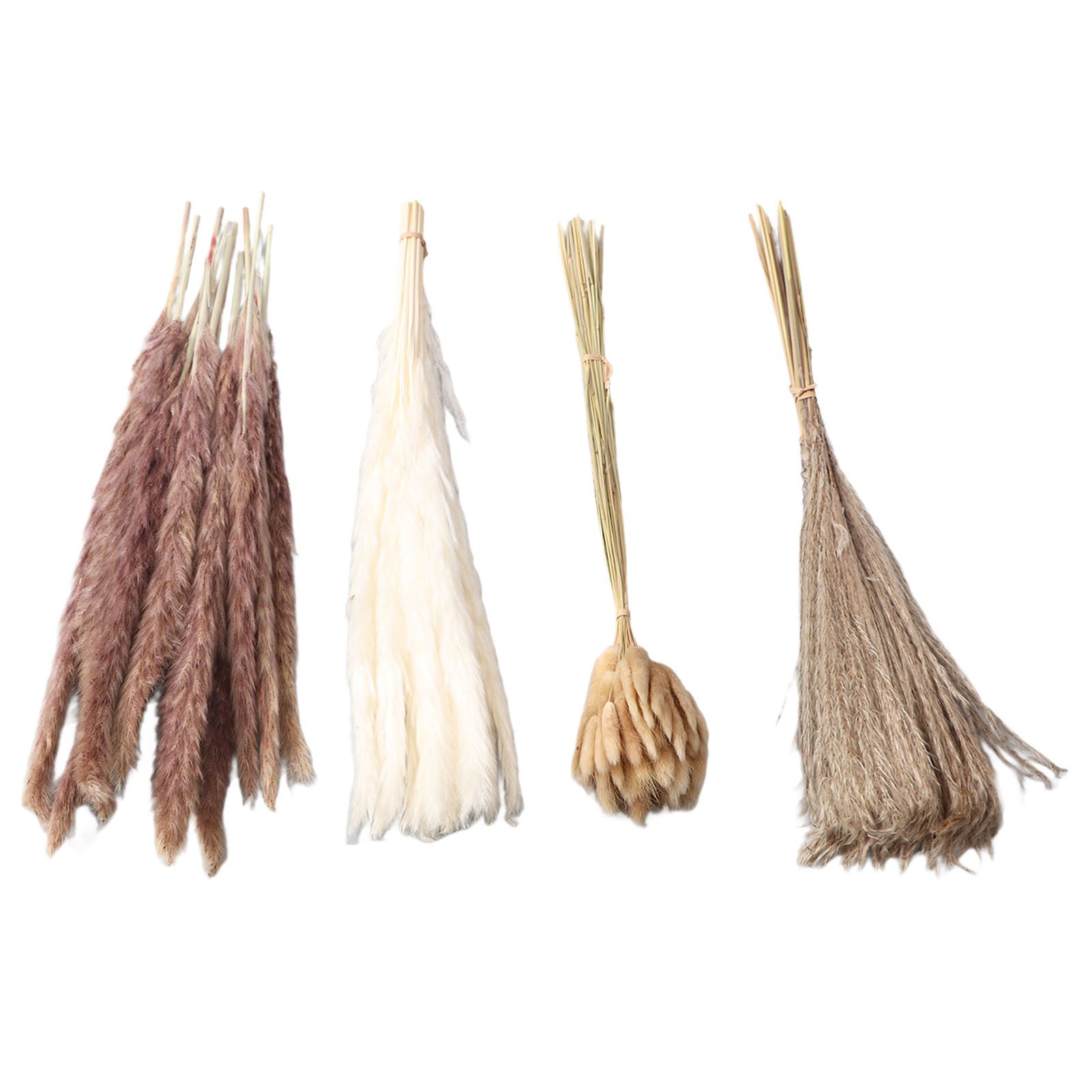 Natural Dried Pampas Grass Fluffy 15PCS White Pampas 15PCS Brown Pampas 50PCS view 7
