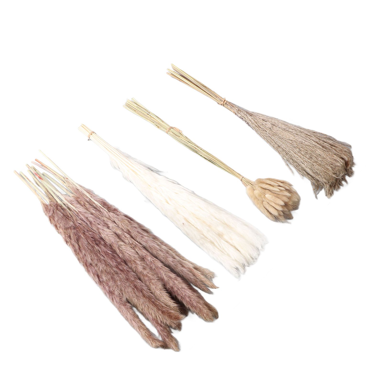 Natural Dried Pampas Grass Fluffy 15PCS White Pampas 15PCS Brown Pampas 50PCS view 8