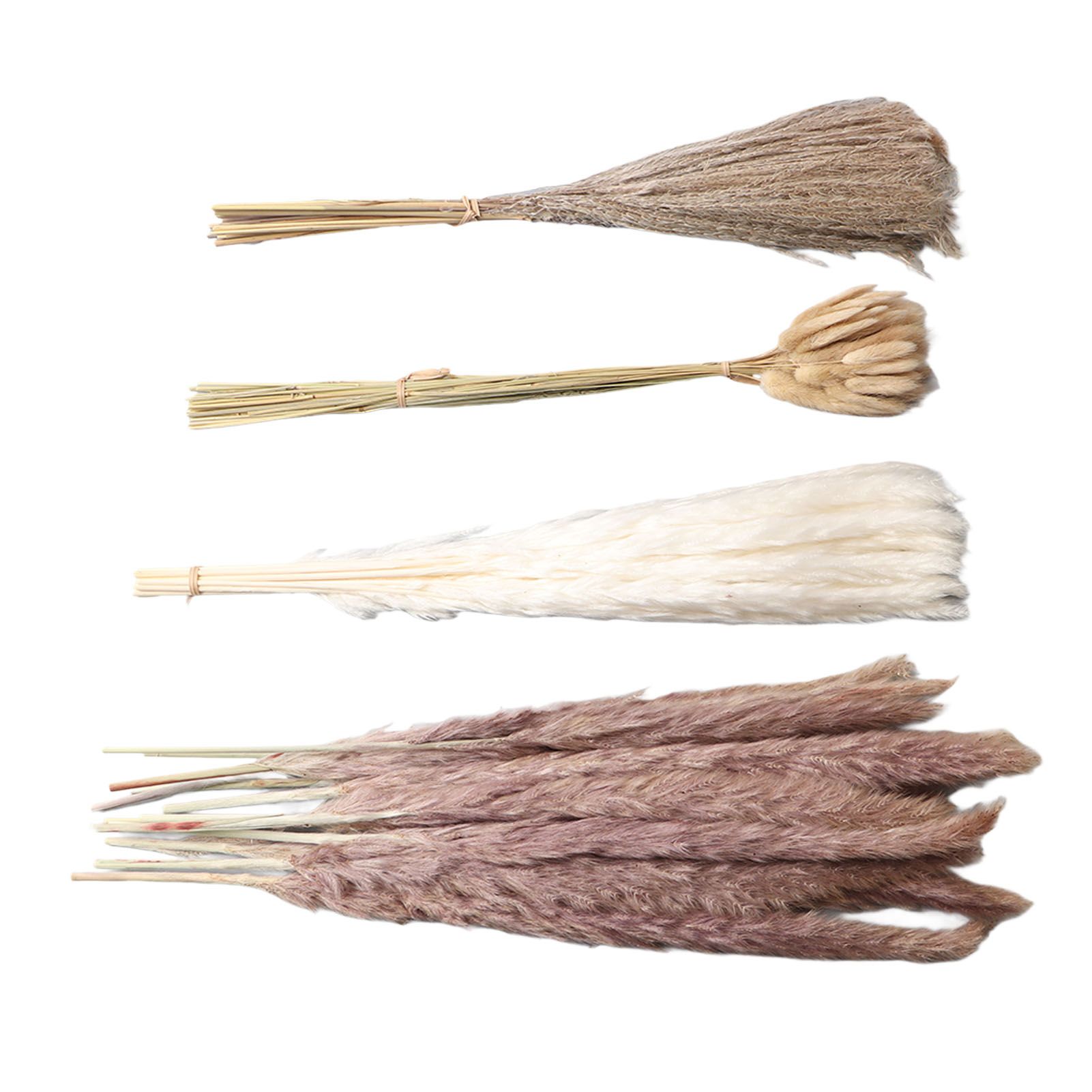 Natural Dried Pampas Grass Fluffy 15PCS White Pampas 15PCS Brown Pampas 50PCS view 9