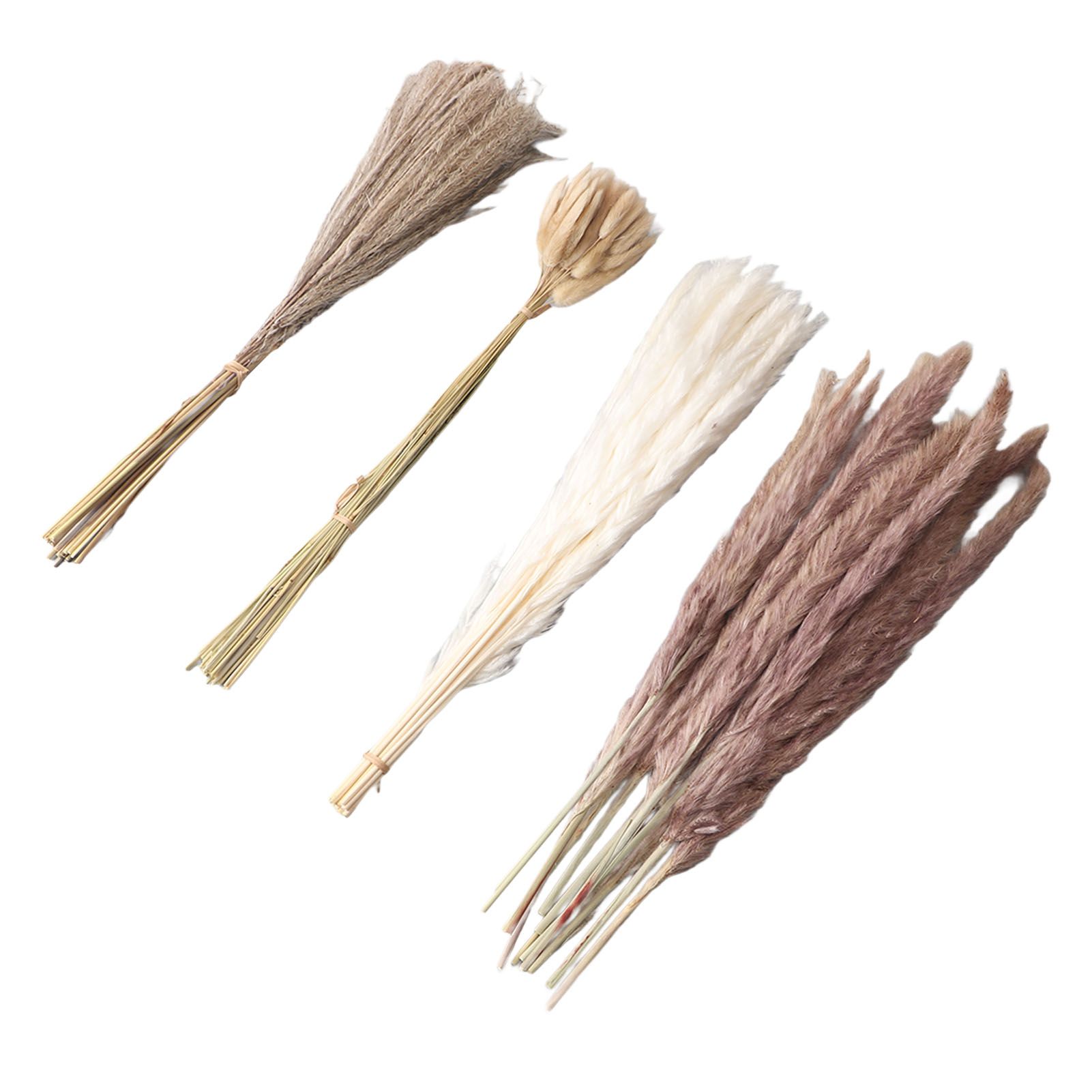 Natural Dried Pampas Grass Fluffy 15PCS White Pampas 15PCS Brown Pampas 50PCS view 10