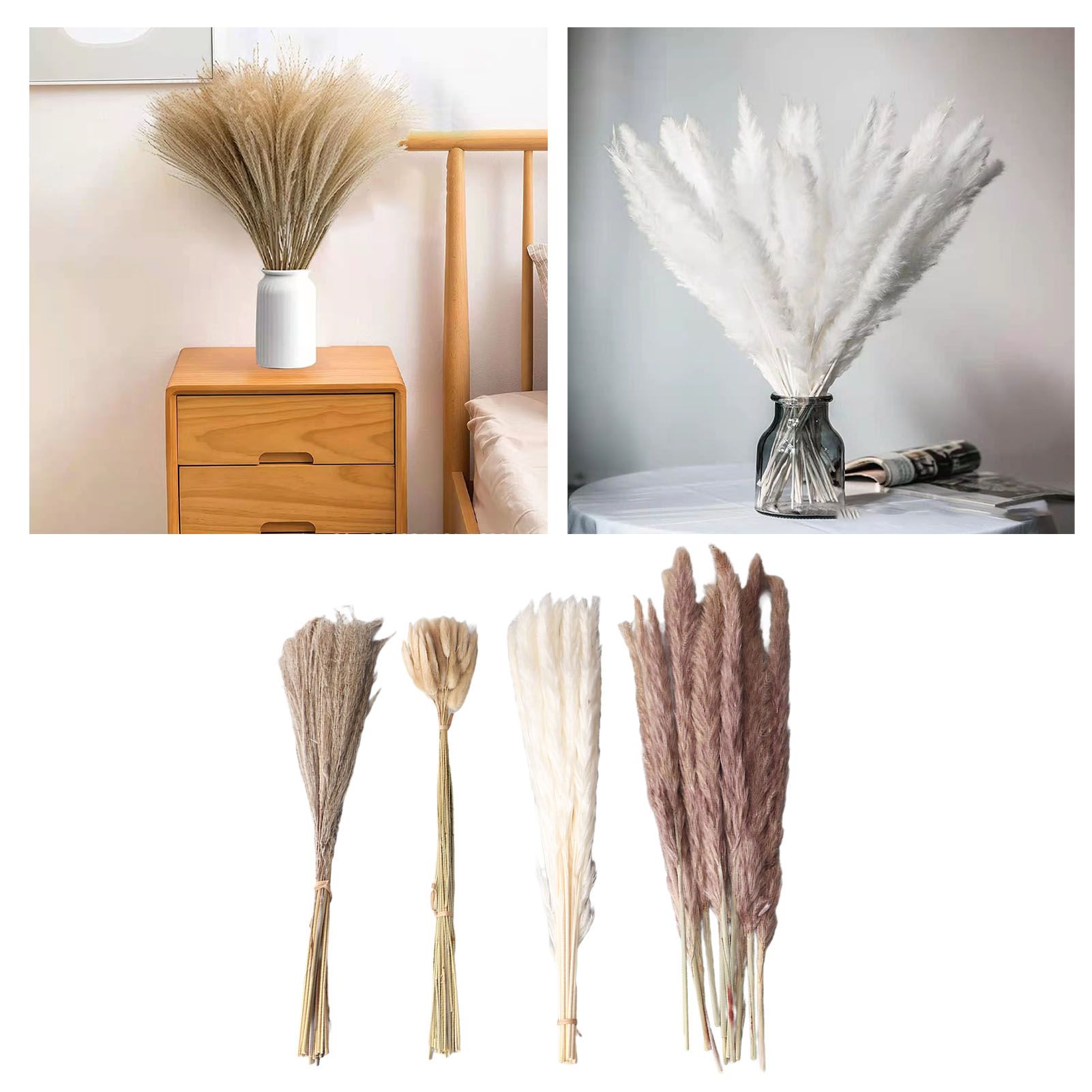 Natural Dried Pampas Grass Fluffy 15PCS White Pampas 15PCS Brown Pampas 50PCS view 11