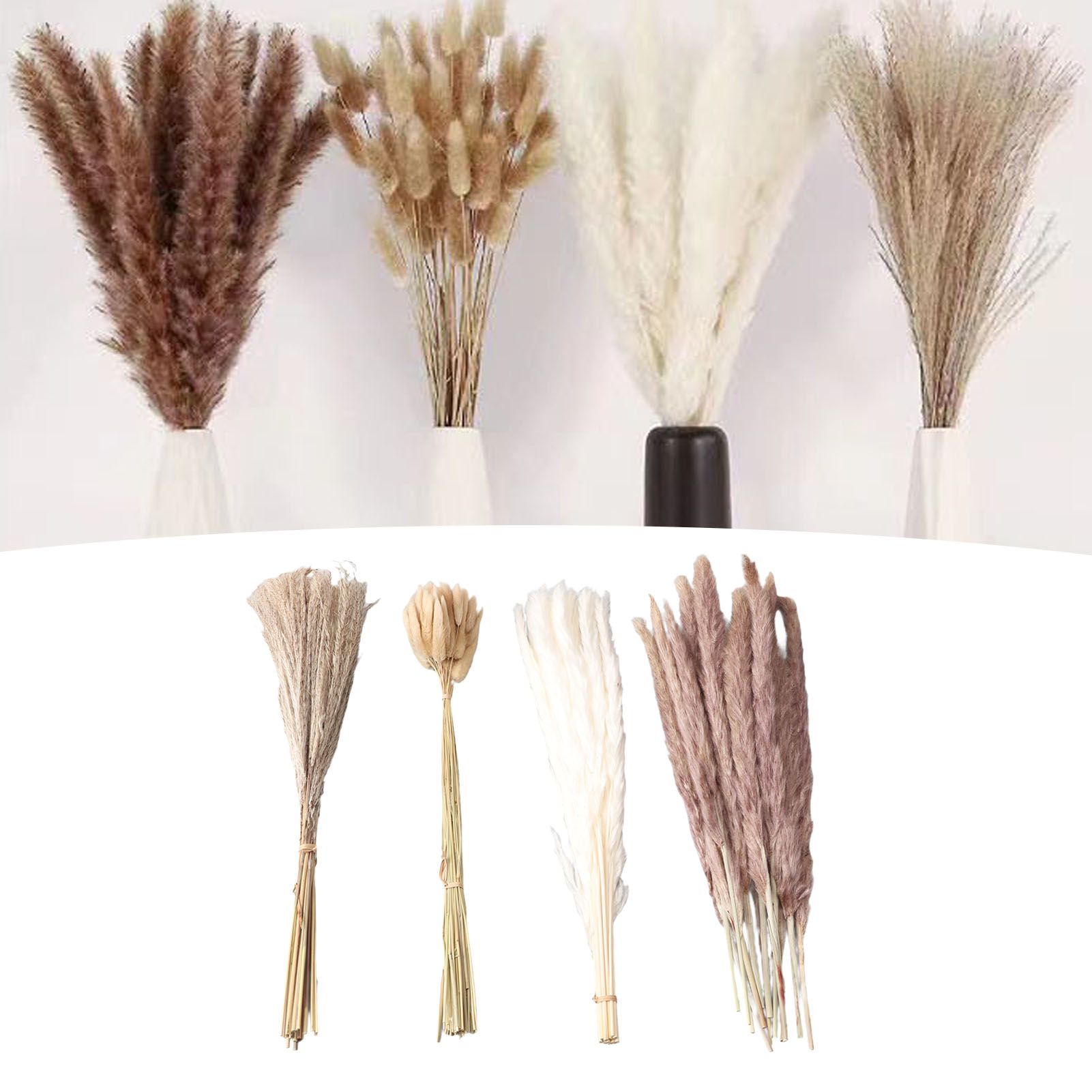 Natural Dried Pampas Grass Fluffy 15PCS White Pampas 15PCS Brown Pampas 50PCS view 12