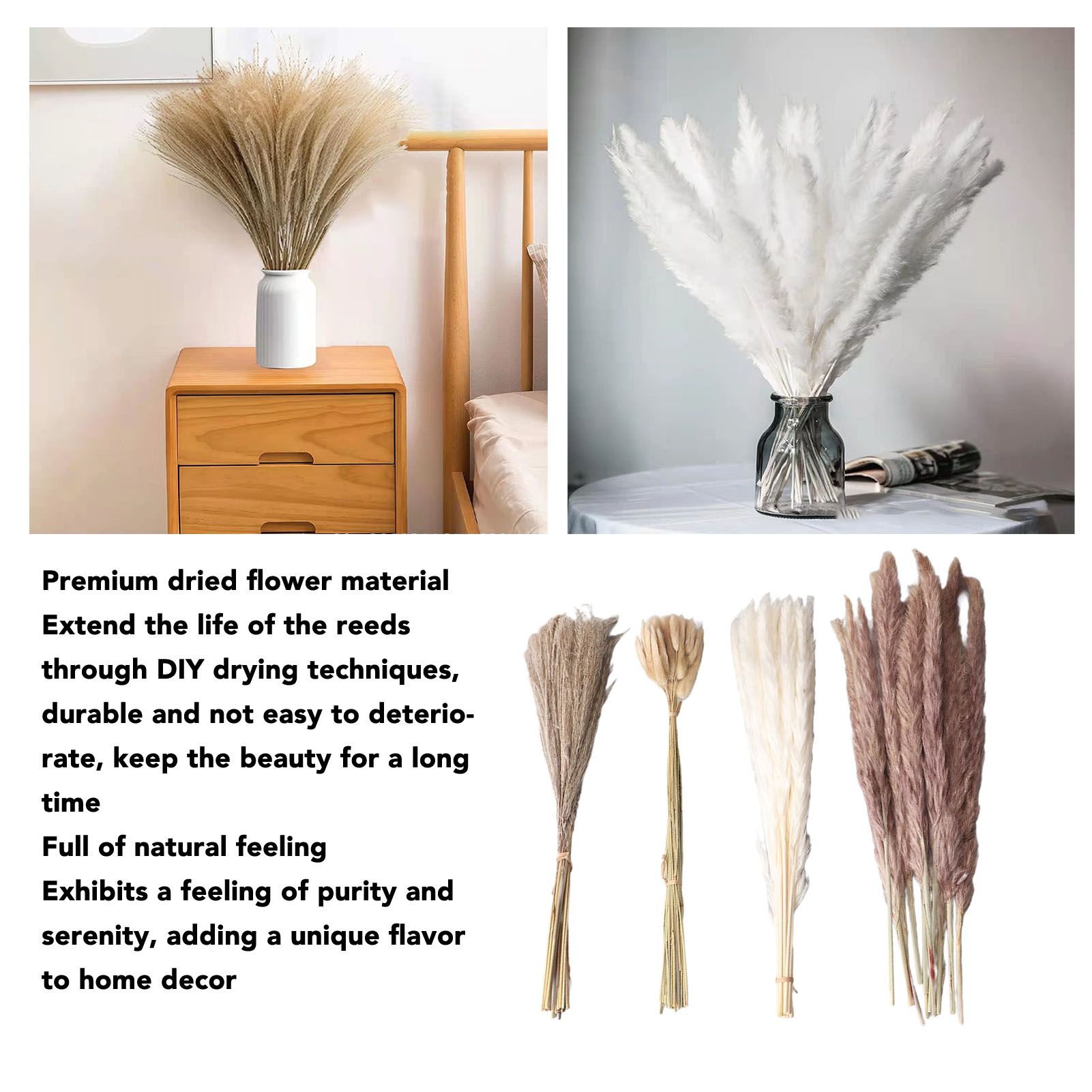 Natural Dried Pampas Grass Fluffy 15PCS White Pampas 15PCS Brown Pampas 50PCS view 13