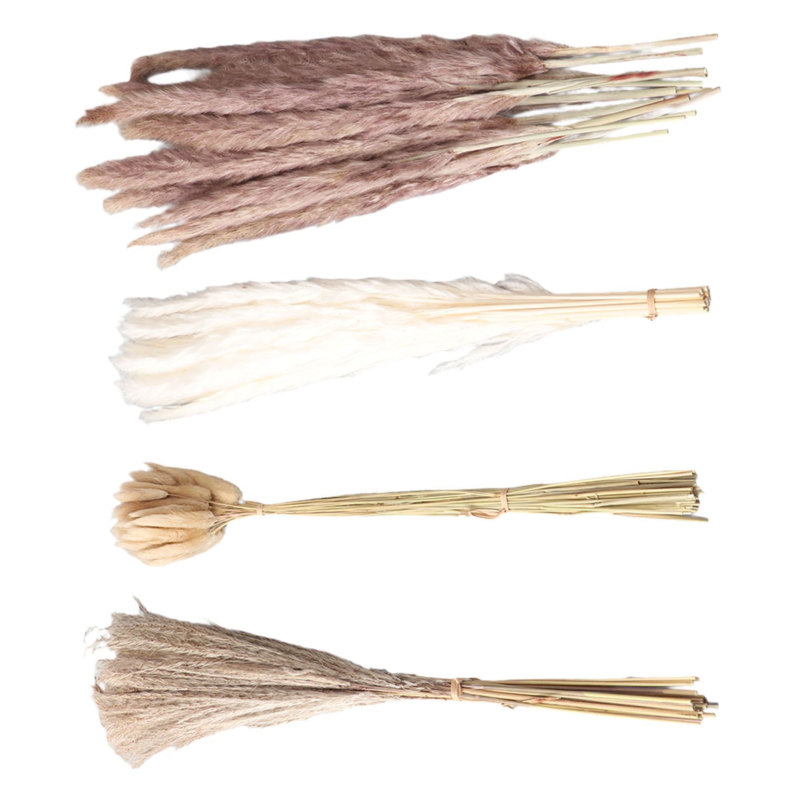 Natural Dried Pampas Grass Fluffy 15PCS White Pampas 15PCS Brown Pampas 50PCS view 15