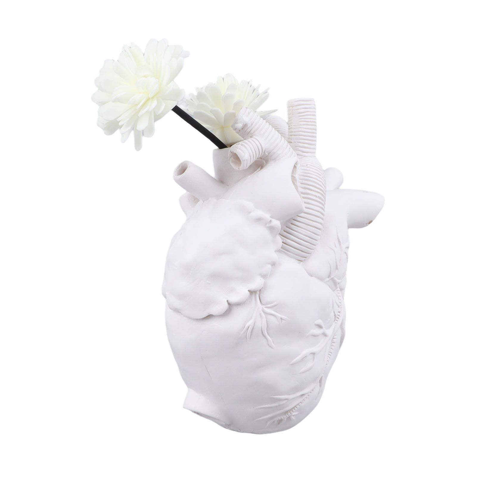 Creative Anatomical Heart Vases Resin Sculpture Heart Shaped Art Flower Vases view 2