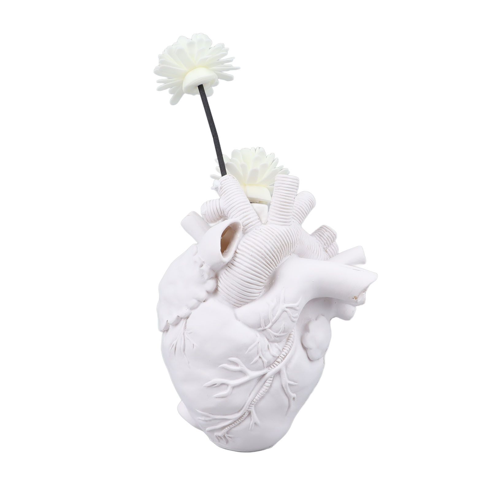 Creative Anatomical Heart Vases Resin Sculpture Heart Shaped Art Flower Vases view 3