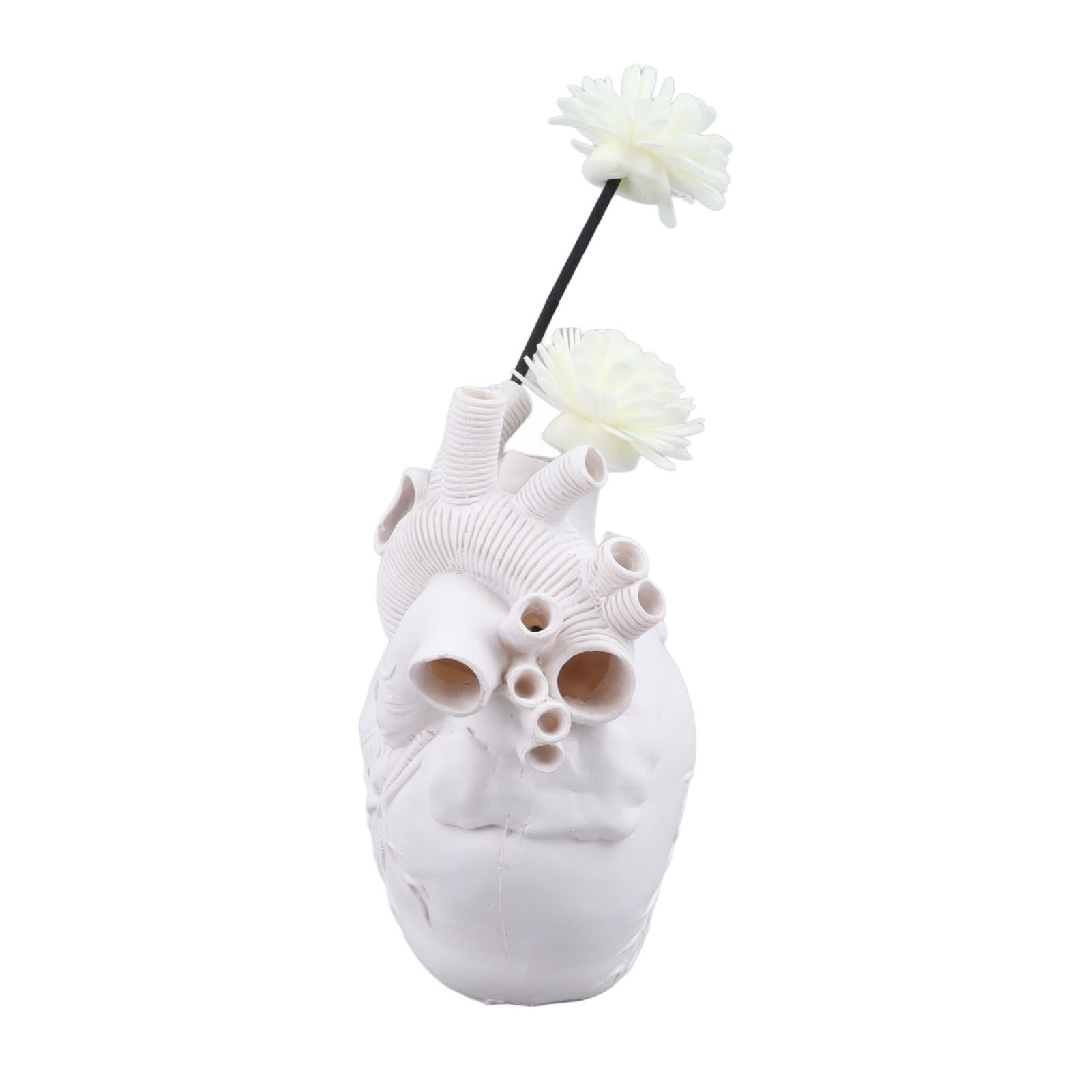 Creative Anatomical Heart Vases Resin Sculpture Heart Shaped Art Flower Vases view 4