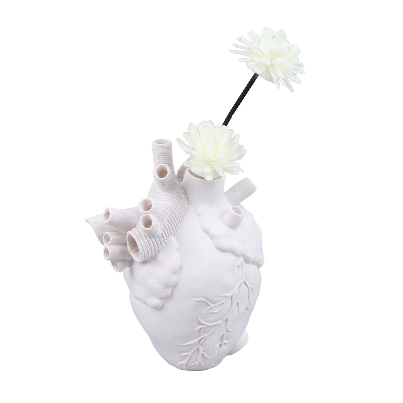 Creative Anatomical Heart Vases Resin Sculpture Heart Shaped Art Flower Vases view 7