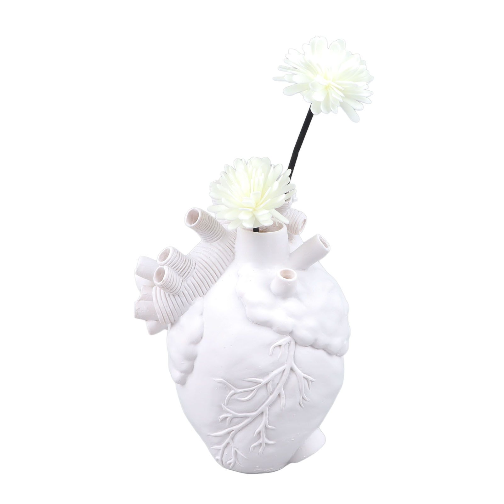 Creative Anatomical Heart Vases Resin Sculpture Heart Shaped Art Flower Vases view 9