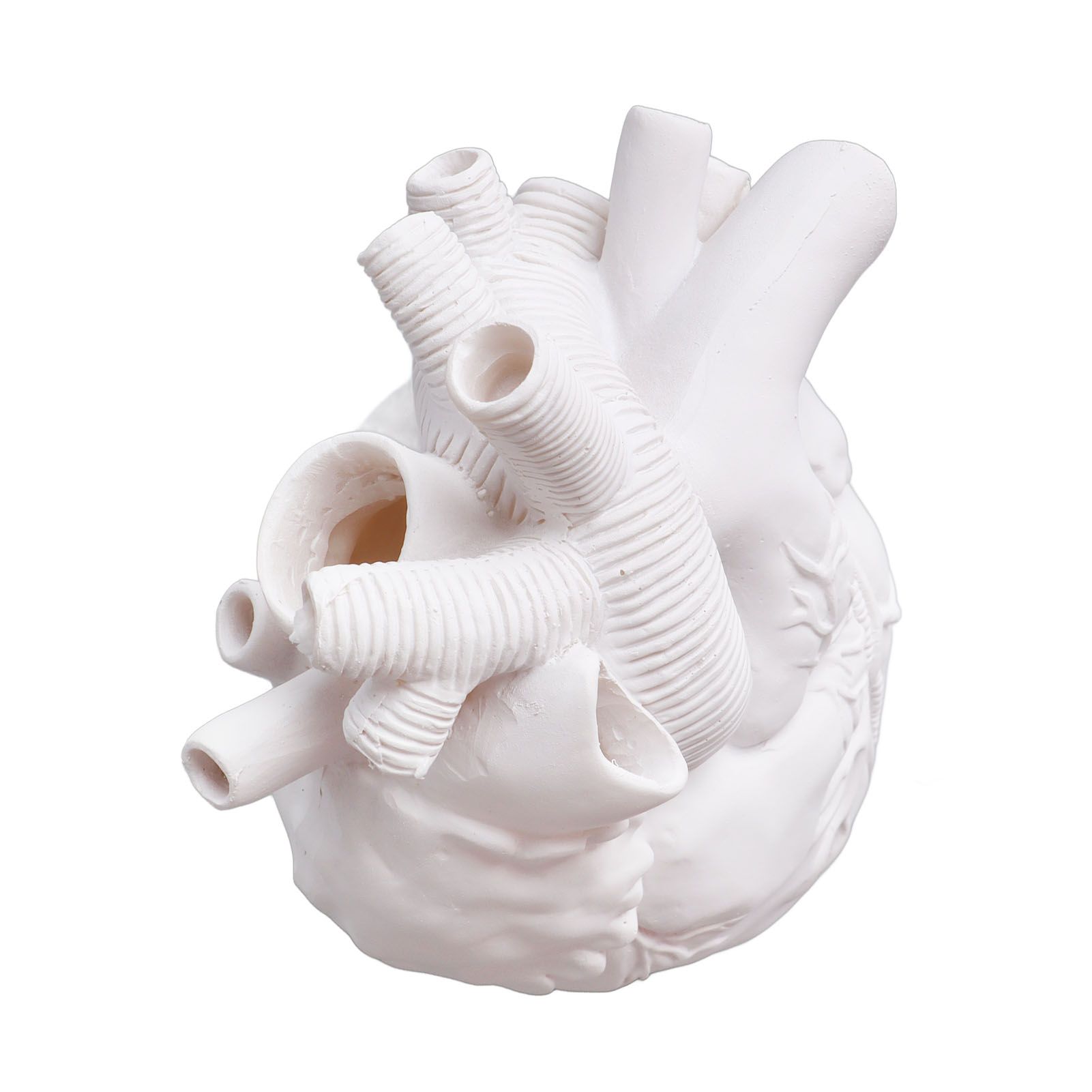 Creative Anatomical Heart Vases Resin Sculpture Heart Shaped Art Flower Vases view 10