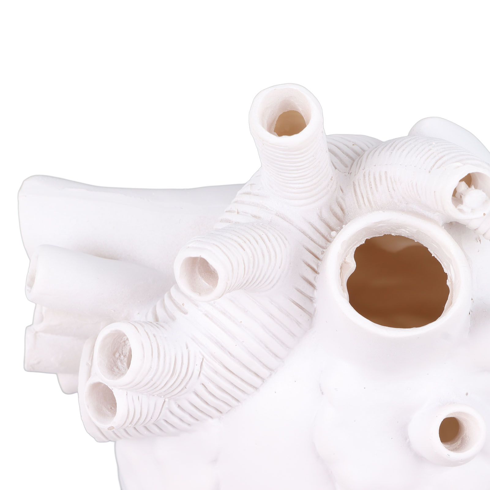 Creative Anatomical Heart Vases Resin Sculpture Heart Shaped Art Flower Vases view 13