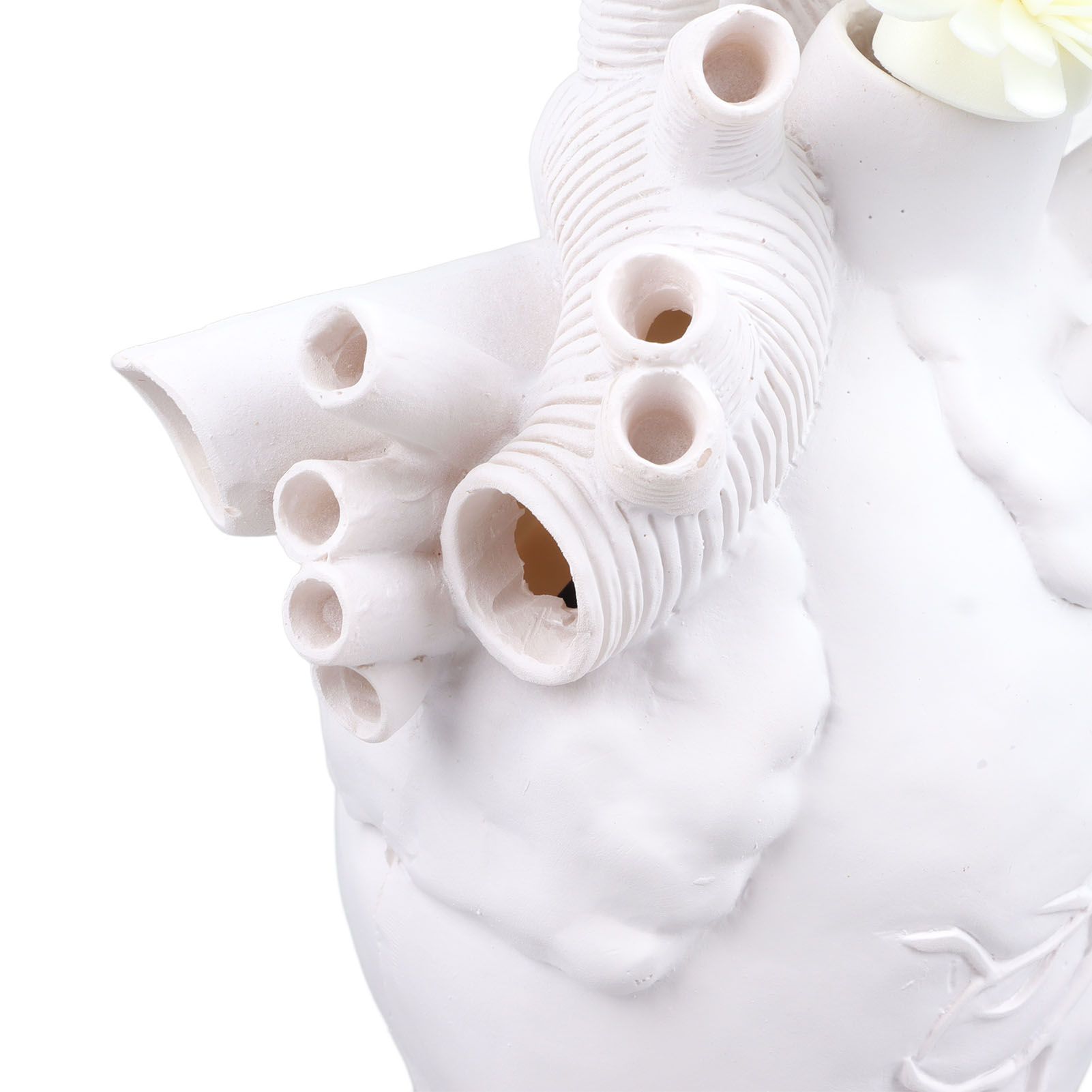 Creative Anatomical Heart Vases Resin Sculpture Heart Shaped Art Flower Vases view 14